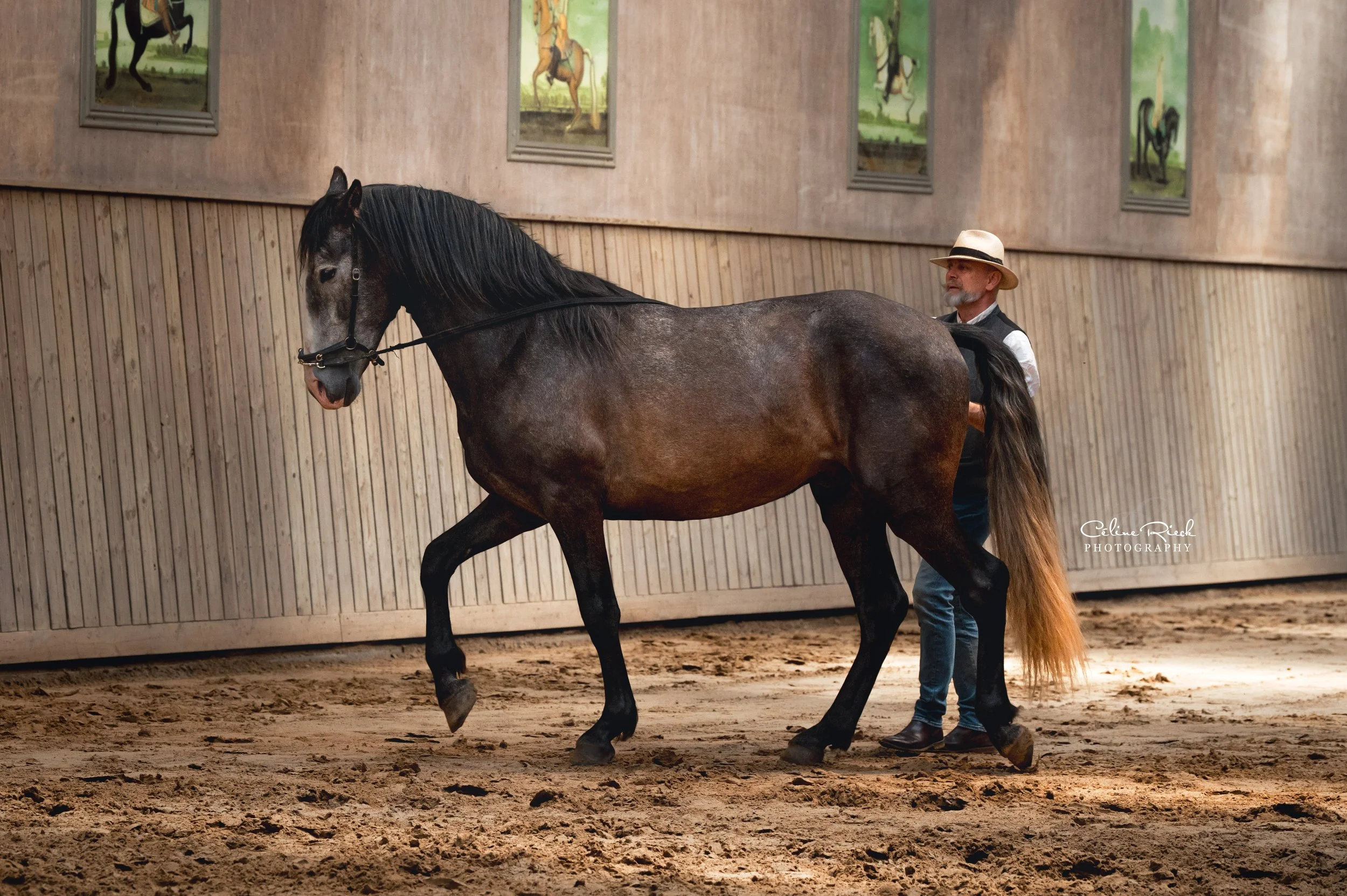 celinerieck_ZCR_0057_20250611_BentBranderup_final_web.jpg
