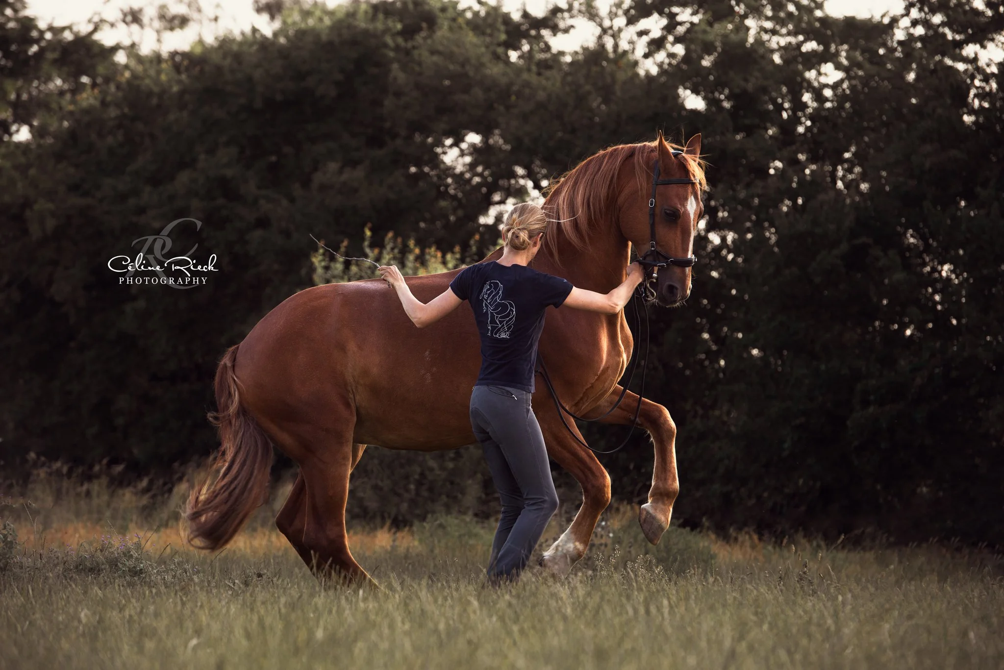 celinerieck__CRP9809-20200701_KathrinBranderup-Tannous_Indus_web.jpg