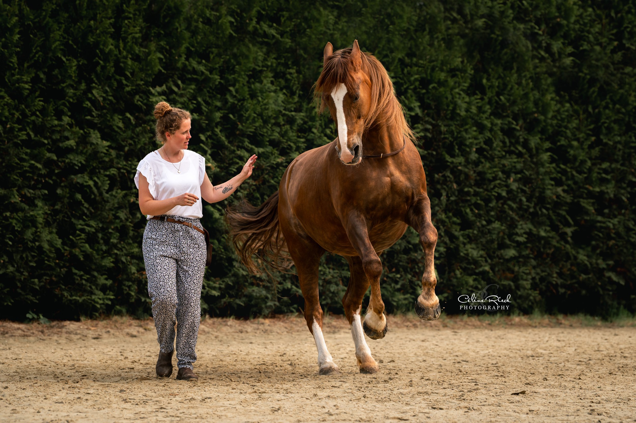 celinerieck_ZCR_1268_20250531_Mareike Frehse_final_web.jpg