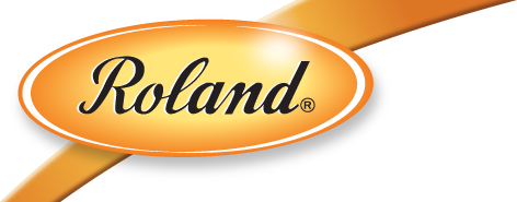 roland-logo.png