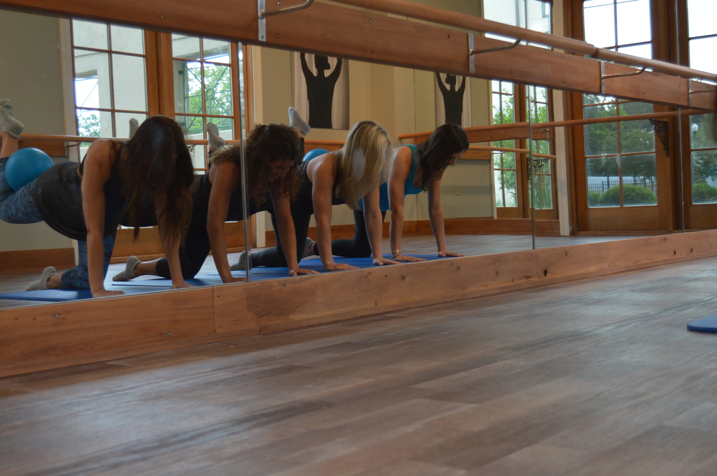 af training Spring 2015 037.JPG