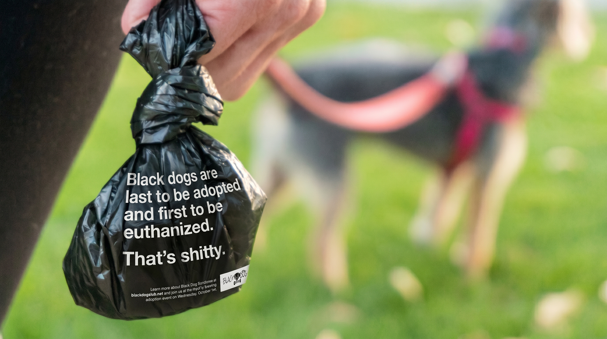 Black Dog Club - Case Study