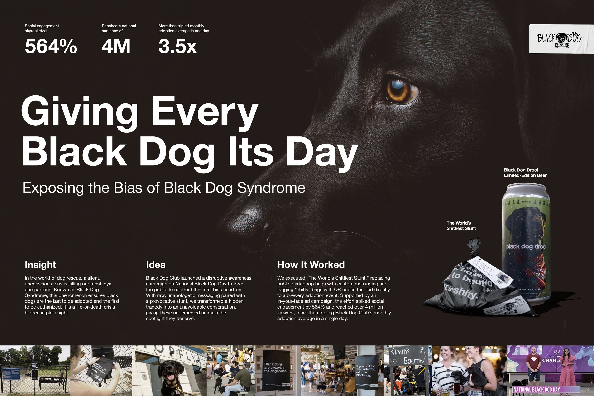 BlackDogClub_Caseboard_FinalXL.jpg
