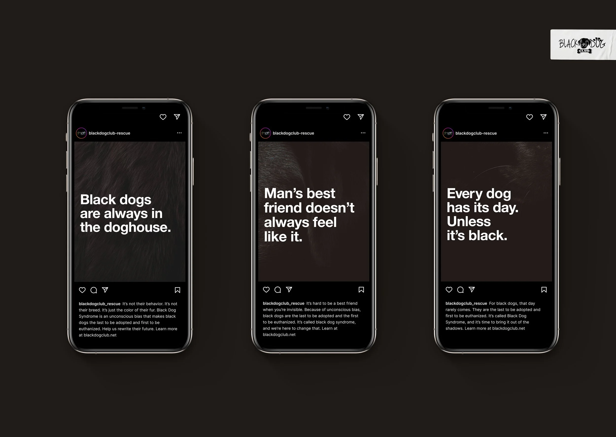 BlackDogClubSocial.jpg