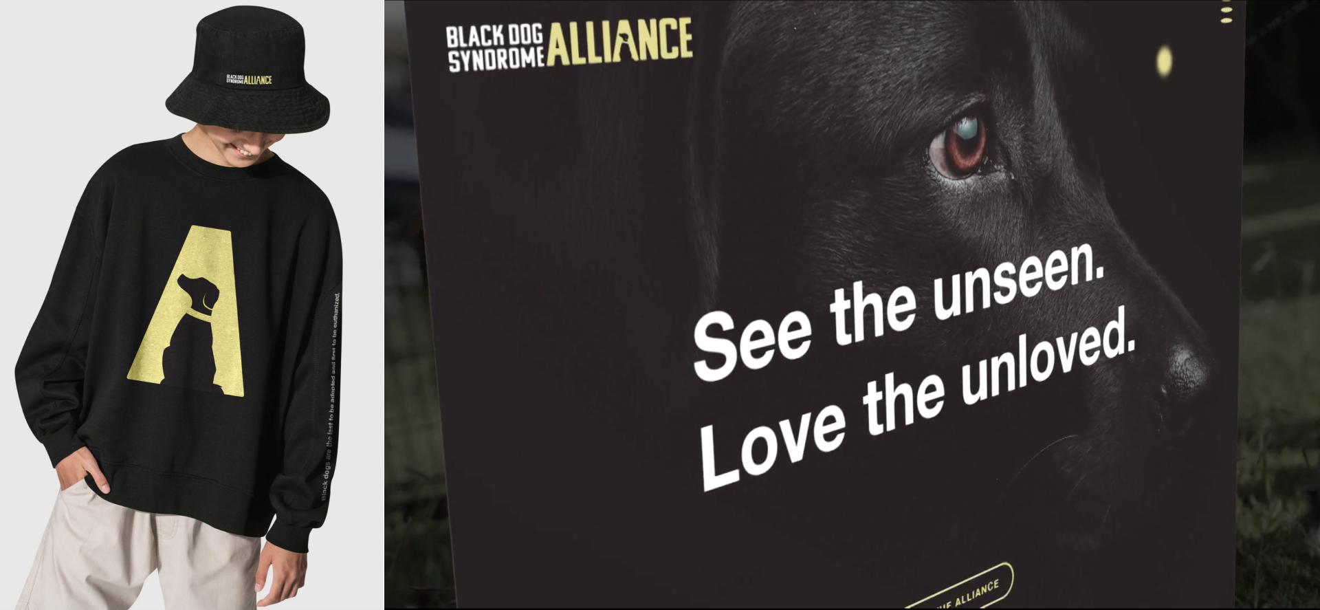 BlackDog_01.png