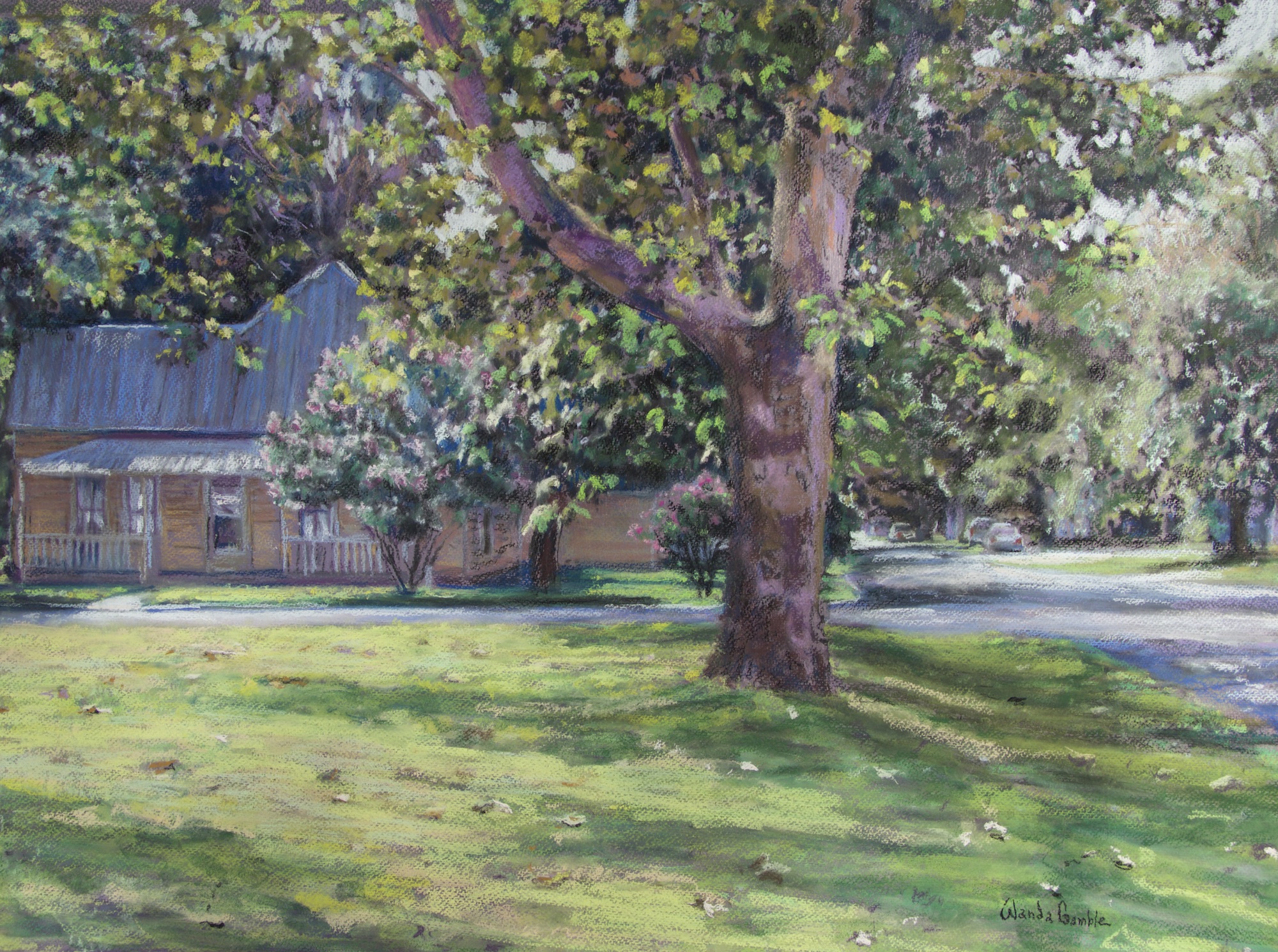 Sycamore On Hudgins, 30" x 40"