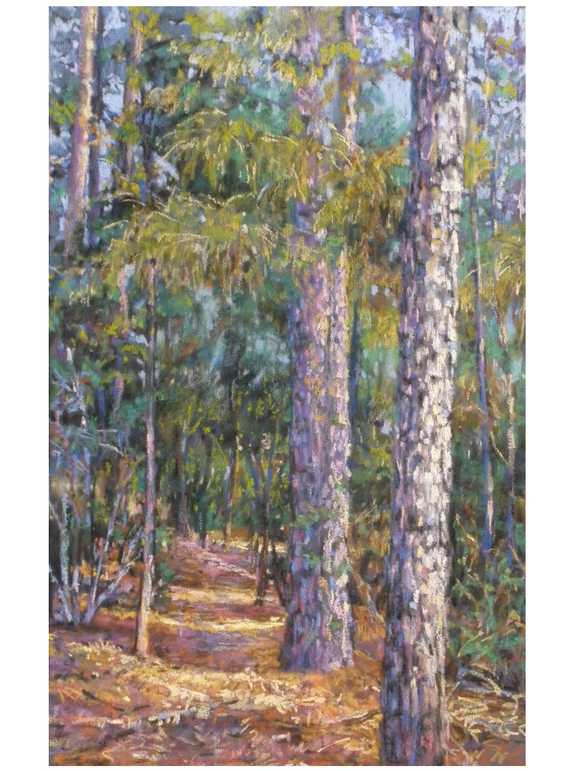 In The Pines, 32" x 20"