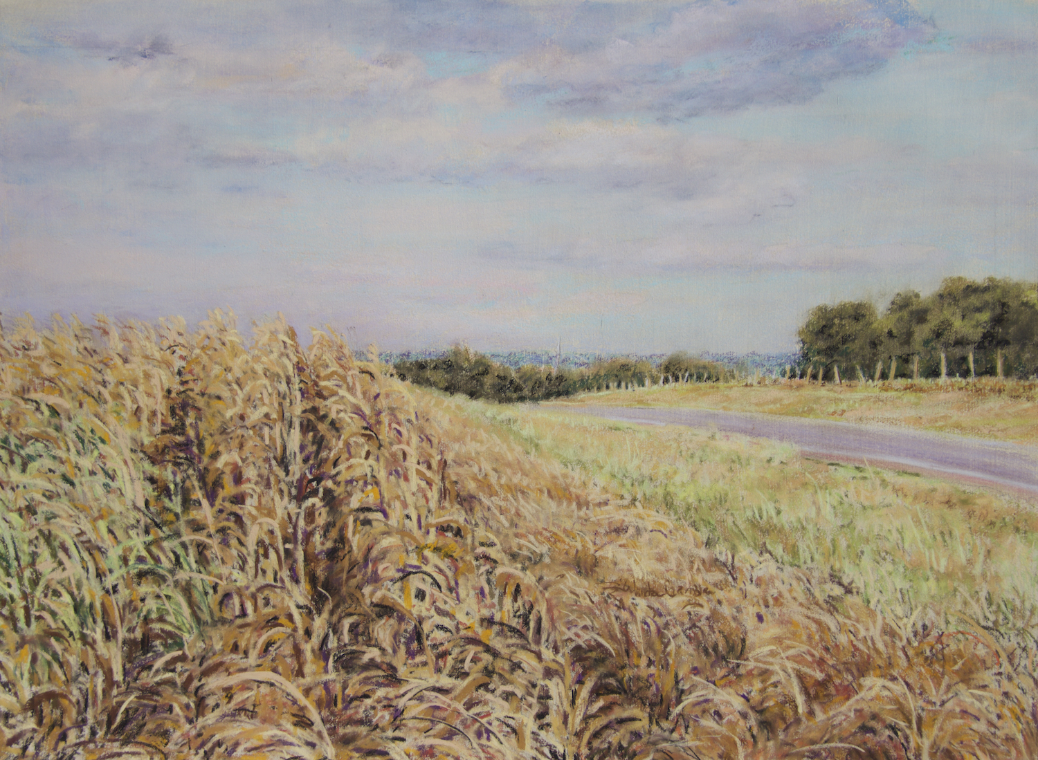Dried Corn Field, 18.5" x 26"