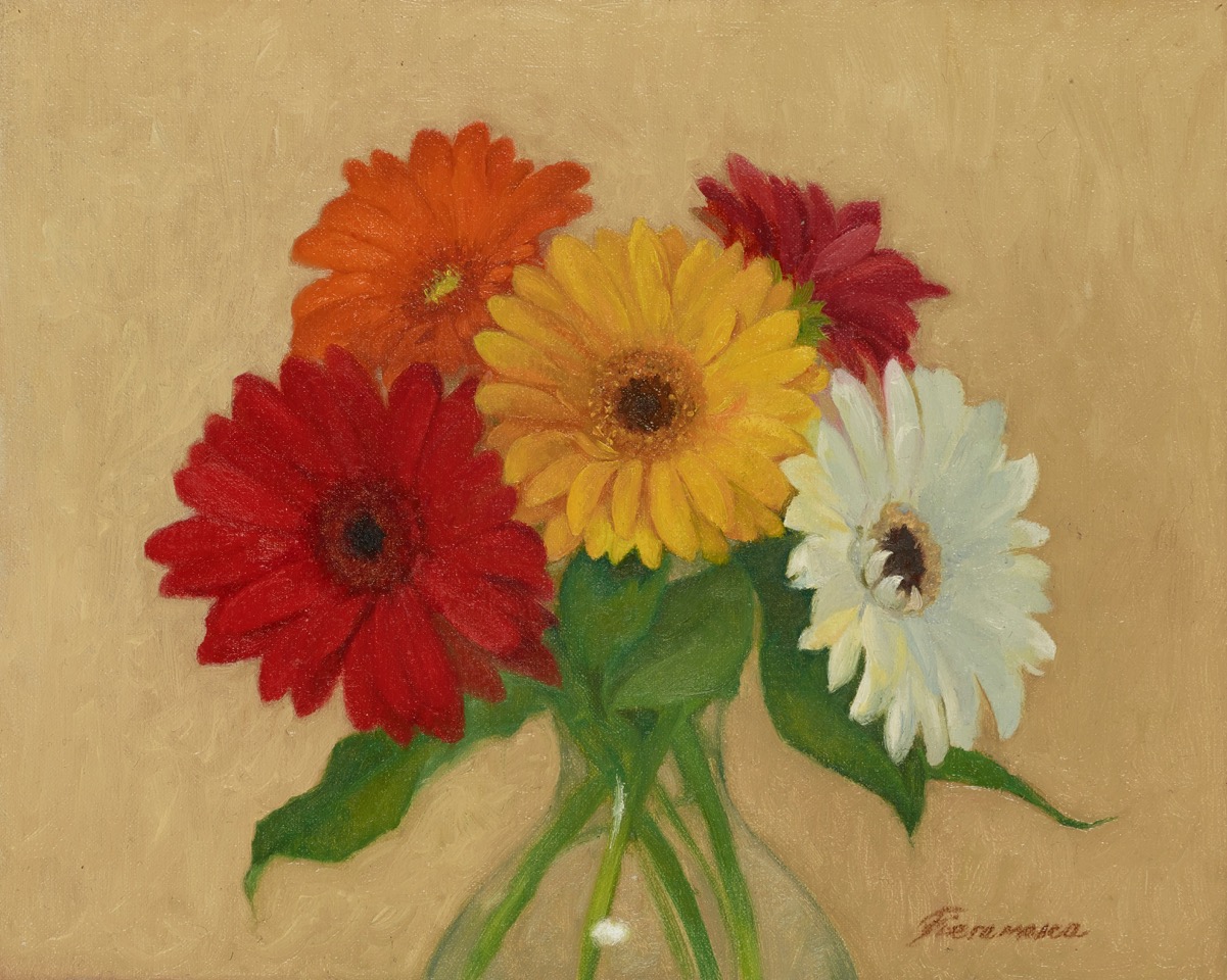 Gerbera Daisies