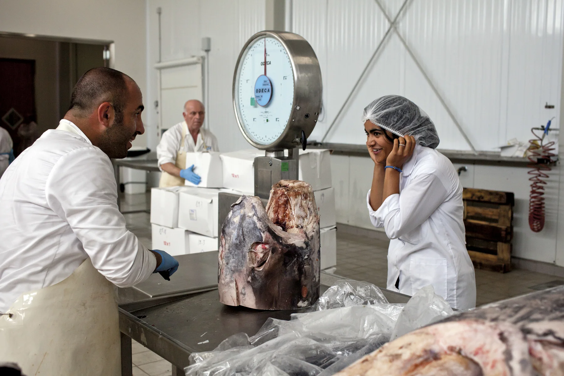  Mazara del Vallo, Italy, 2016 