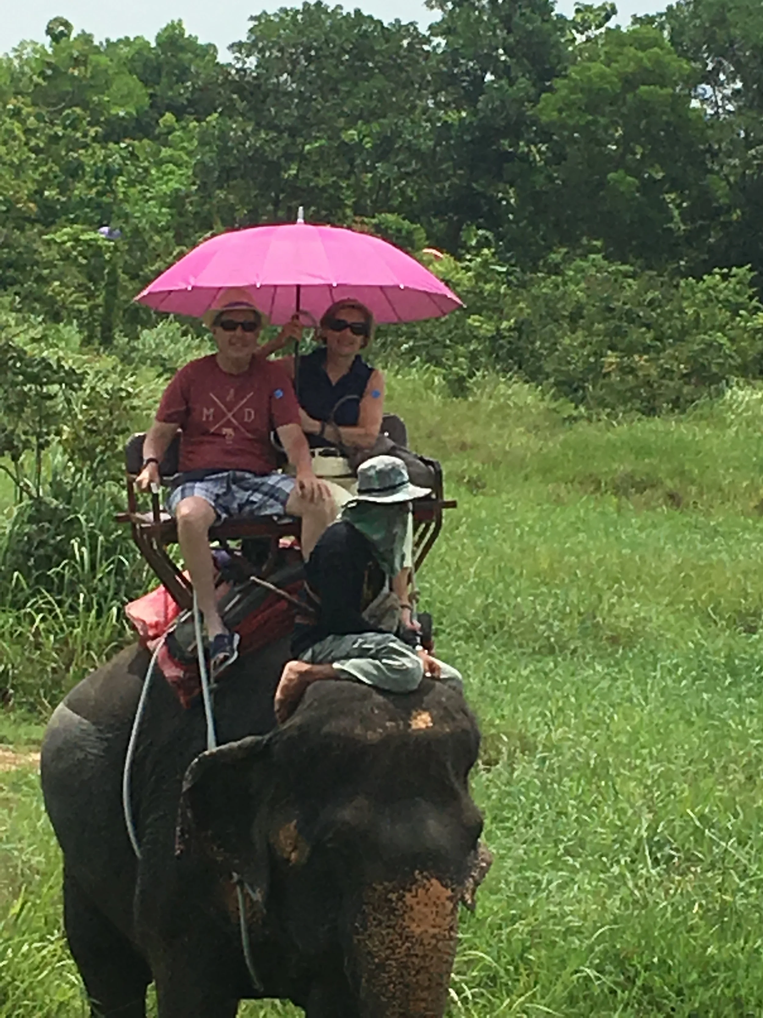 Elephant Trekking outside Phuket