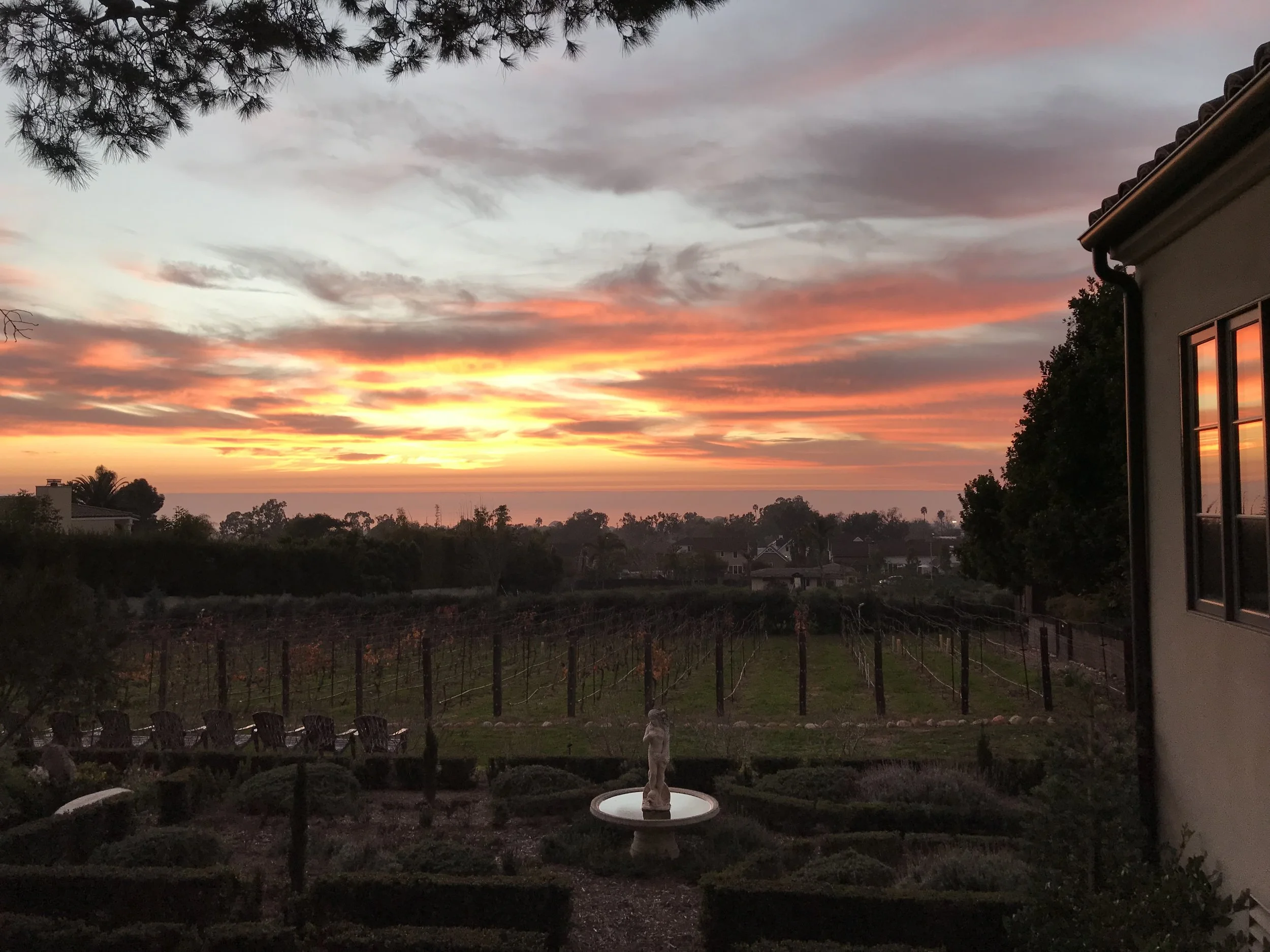 Winter Sunset over Domaine de Manion