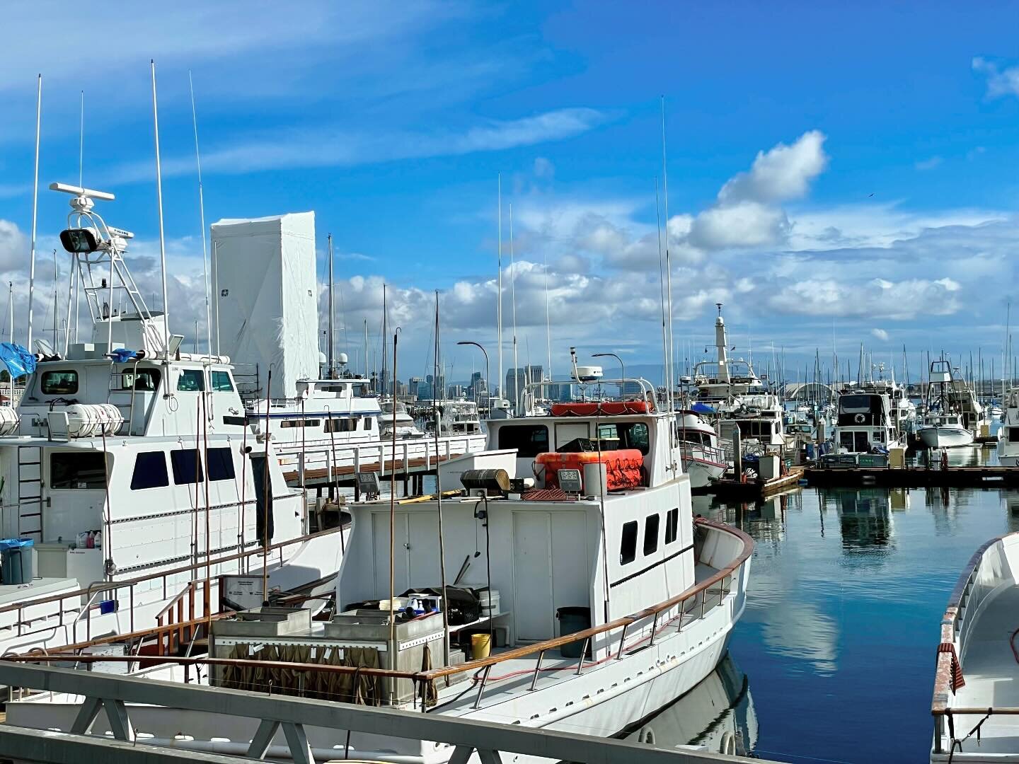 Went down to #sandiego harbor to buy the freshest #fish and #seafood for our #feastofthesevenfishes #christmas #weekend at #tunaville #market, a fish market by #localsandiego #fisherman.
What&rsquo;s on the menu? #calamari #scallops #crabcakes #smoke