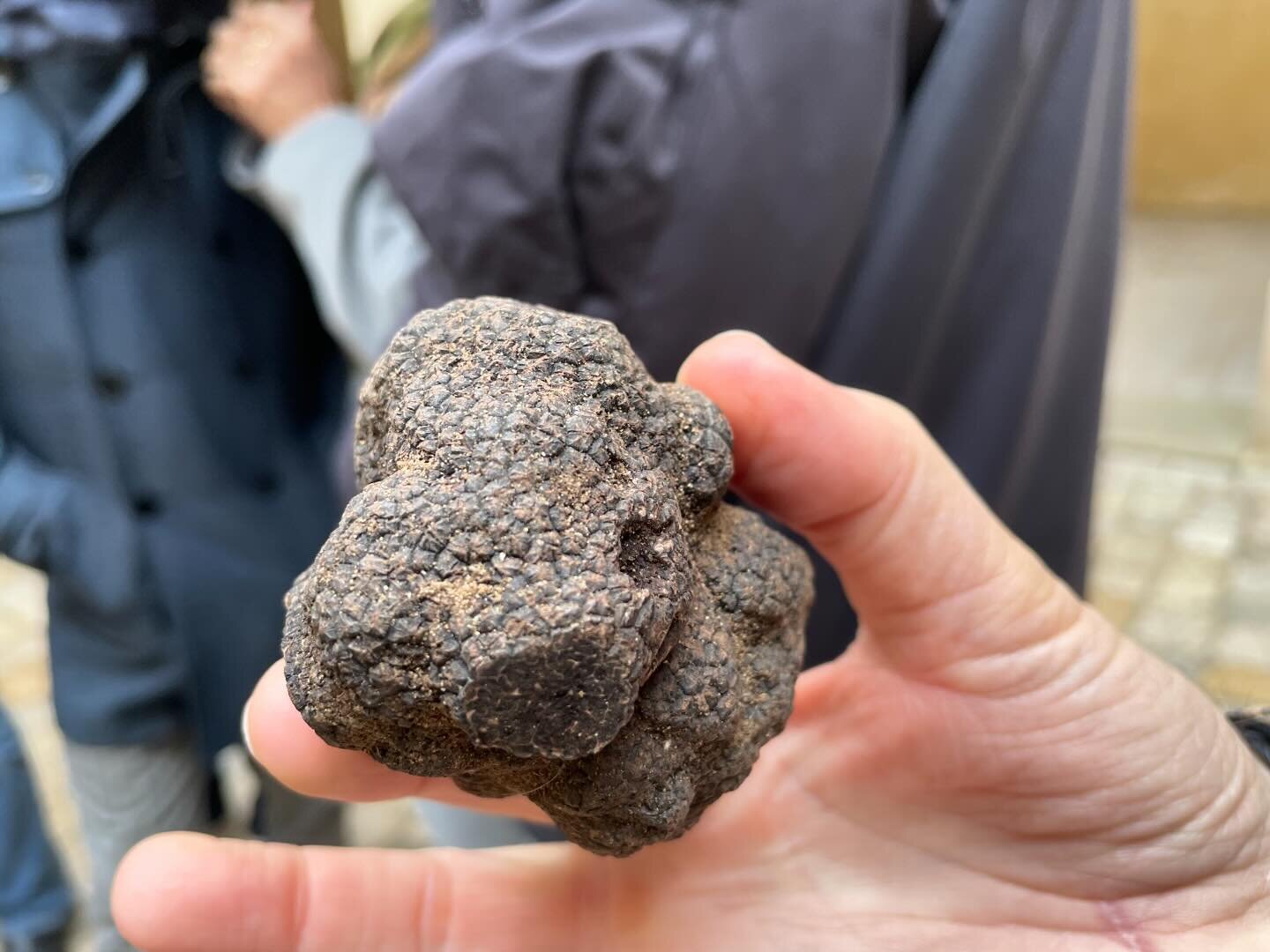 It has been a real joy to experience the black truffle season in #uz&egrave;s which runs from about mid November to mid March. 

For those that aren&rsquo;t familiar, the Black Truffle from Pays d&rsquo;Uz&egrave;s Pont du Gard is a treasure of Frenc