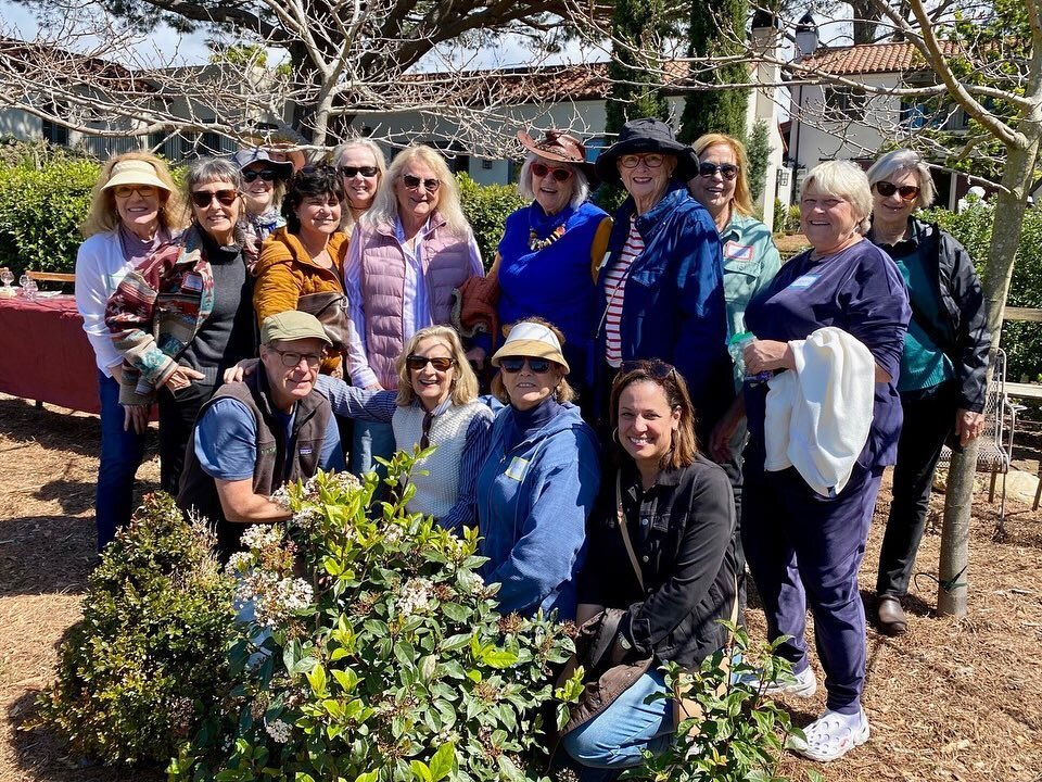 The Olivenhain Garden club stopped by last week for a glimpse of #spring emerging at #domainedemanion  #gardentour #blacktulipmagnolia #wisteria #macadamia trees #springflowers #garden