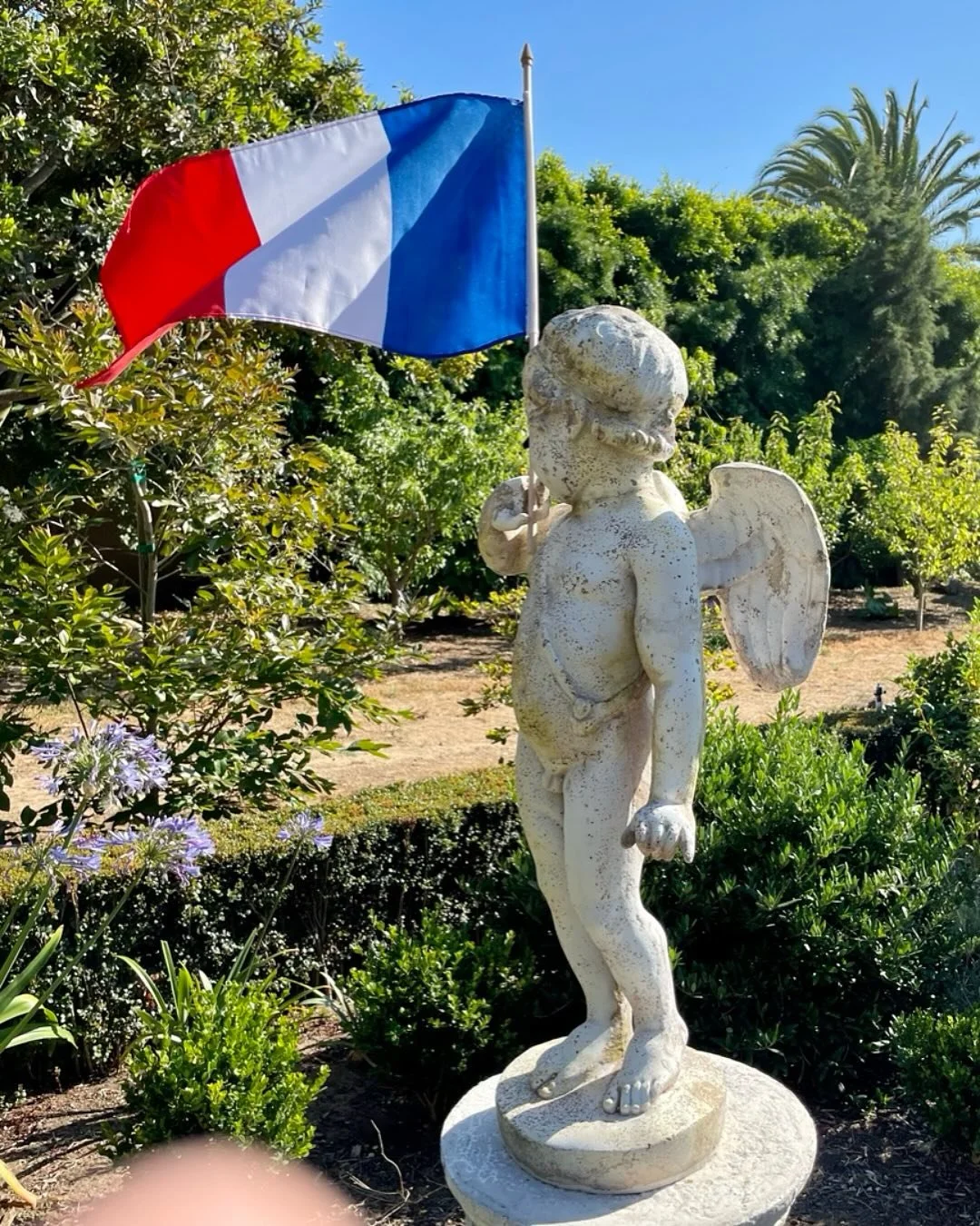 Happy #bastille day from #domainedemanion

#france #bastilleday #frenchinspired 
#frenchfriends #frenchcelebration #jardin #frenchgarden