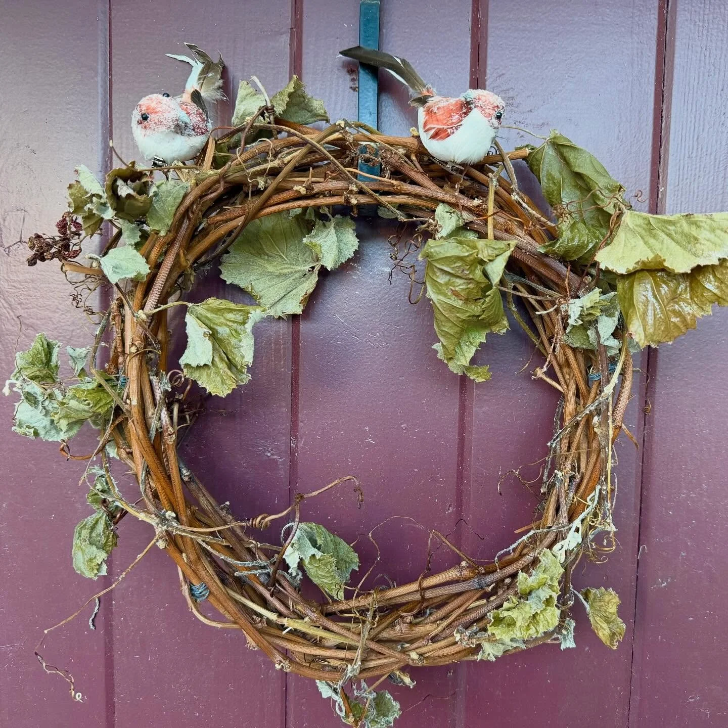A #shoutout to a special #friend who made this adorable #autum #wreath from our #grapevines and surprised us with it yesterday. So #creative and #endearing.
#merci!

#domainedemanion #frenchcountryliving #autumnvibes #grapevinewreath