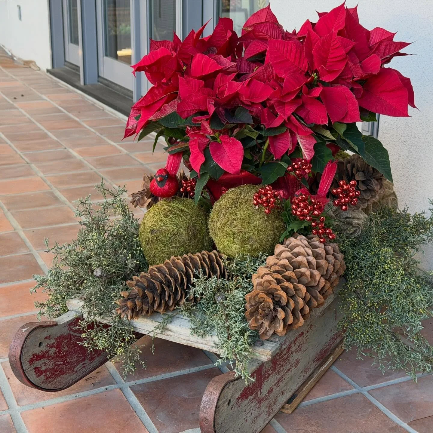 I have this #vintage #sled that I like to #decorate for the #holidays. This year it has #greenery, #pinecone, a #poinsettia and two faux #cardinals. Something to give you a #smile coming into our #home.

#holidayseason #holidaydecor #frenchcountryliv