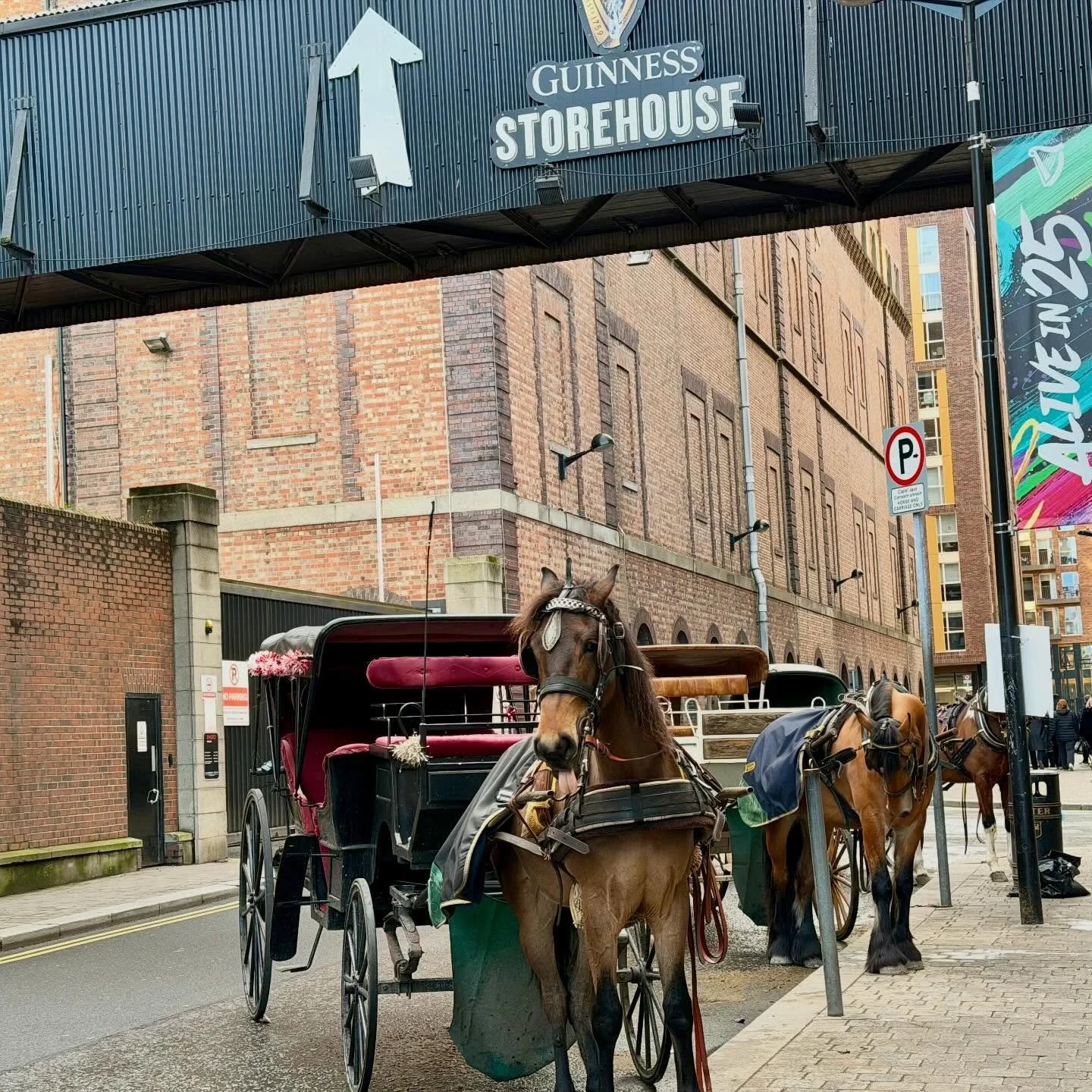 No visit to #dublin is complete without a visit to the #guiness #storehouse (museum and #brewery) started by Arthur Guinness in 1759. Made of only four ingredients, #barley #hops #water and #yeast, the #magic is in the details.

The museum is six flo