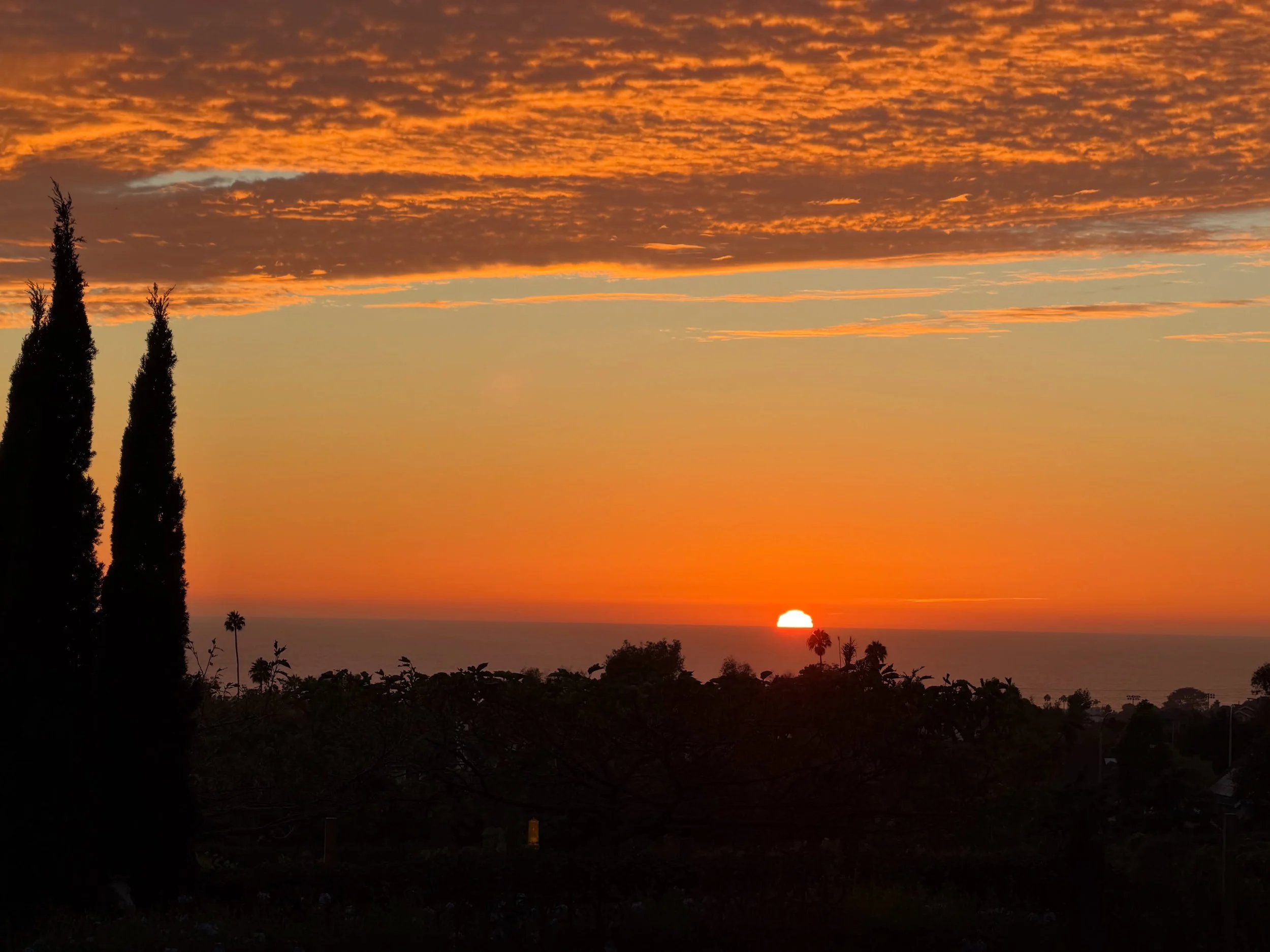 A magical #sunset over #domainedemanion last night. 

#frenchcountryliving #provenceforeveryday 
#coastalcalifornia