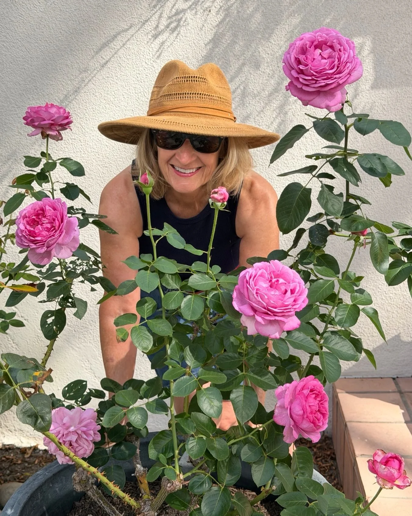 Be the #rose that blooms even when nobody is watching. 
#yvespiaget #tasteoffrenchcountryliving #provenceforeveryday #frenchrose