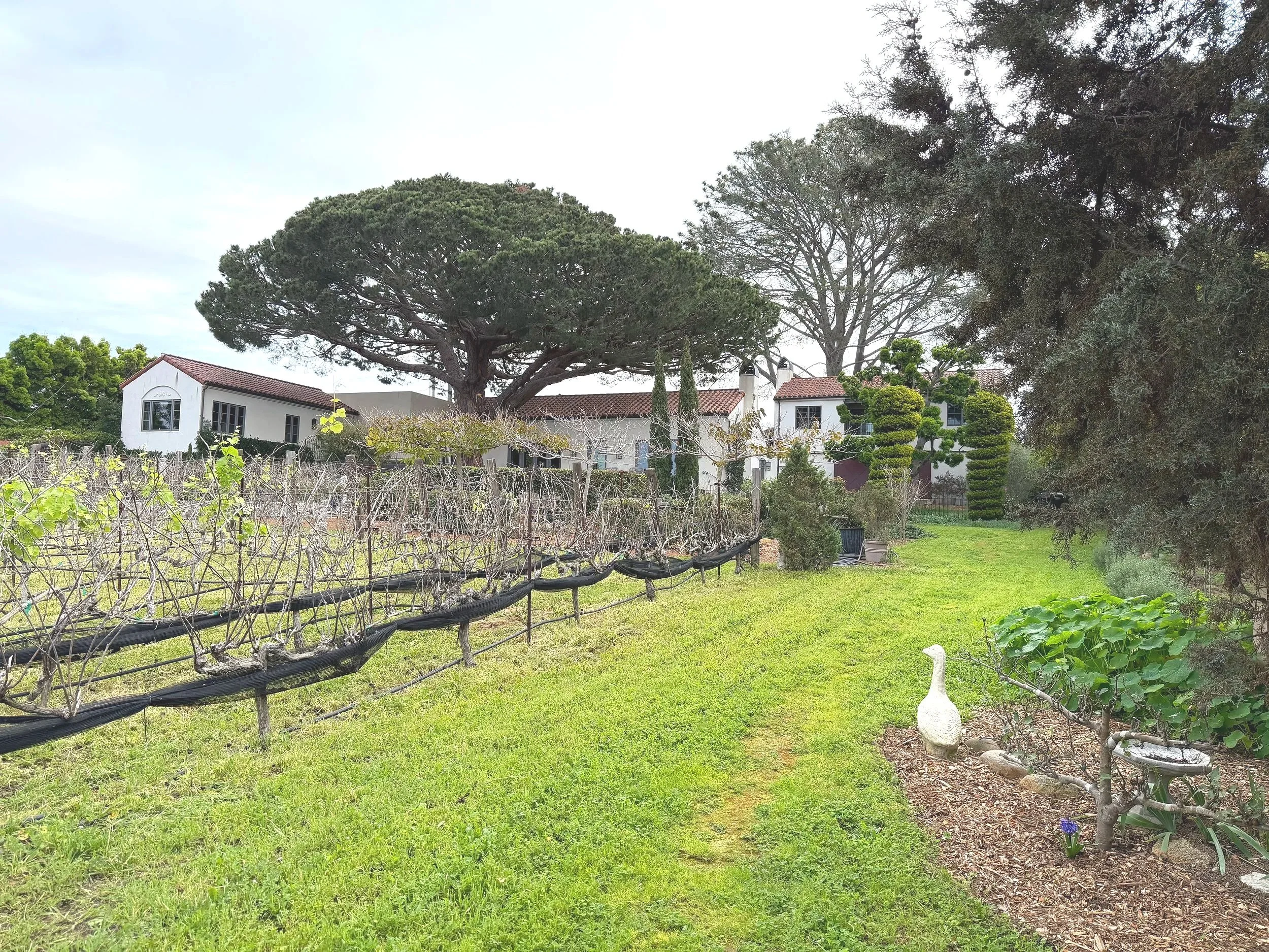 Wintertime 2026 At Domaine de Manion