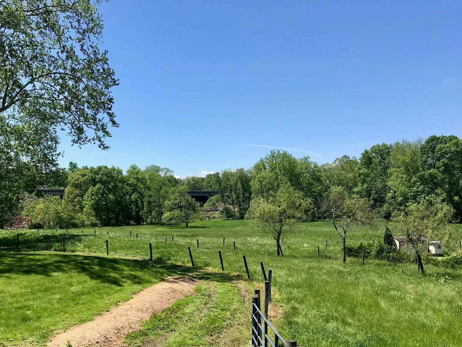 Meadow View 1.jpg