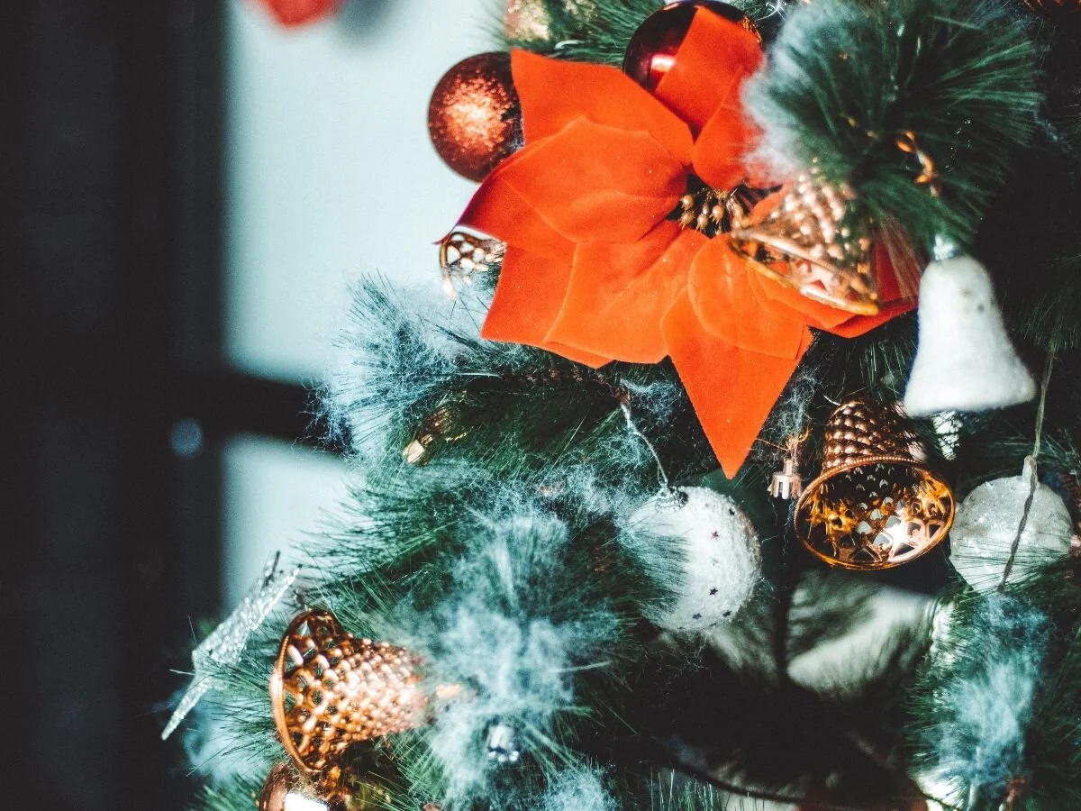 Merry Christmas to you &amp; your family!