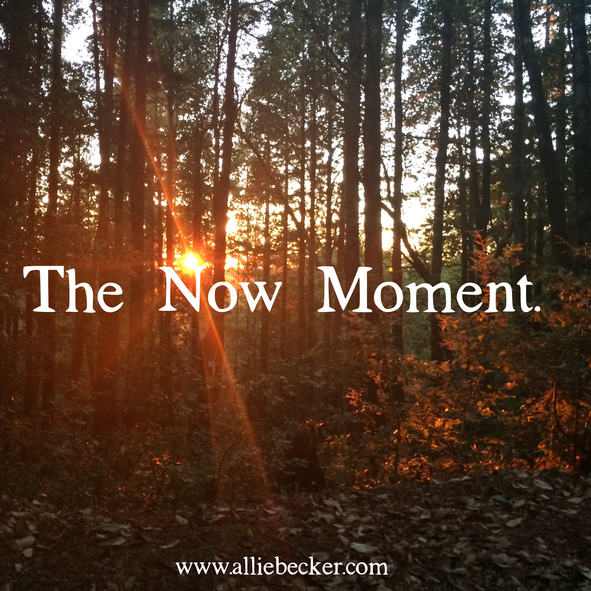 This is All We've Got: The Now Moment. 