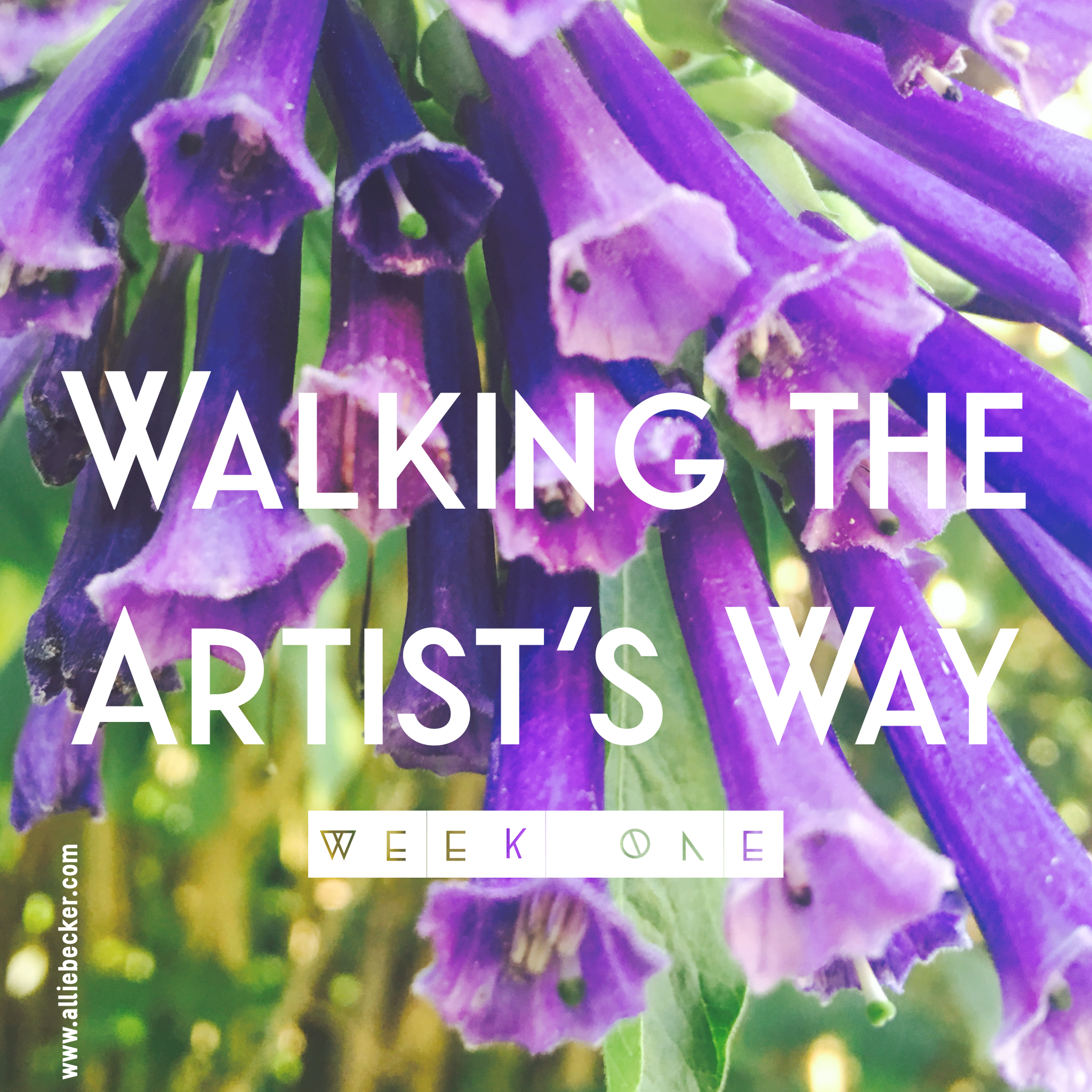 Walking the Artist's Way: Week One