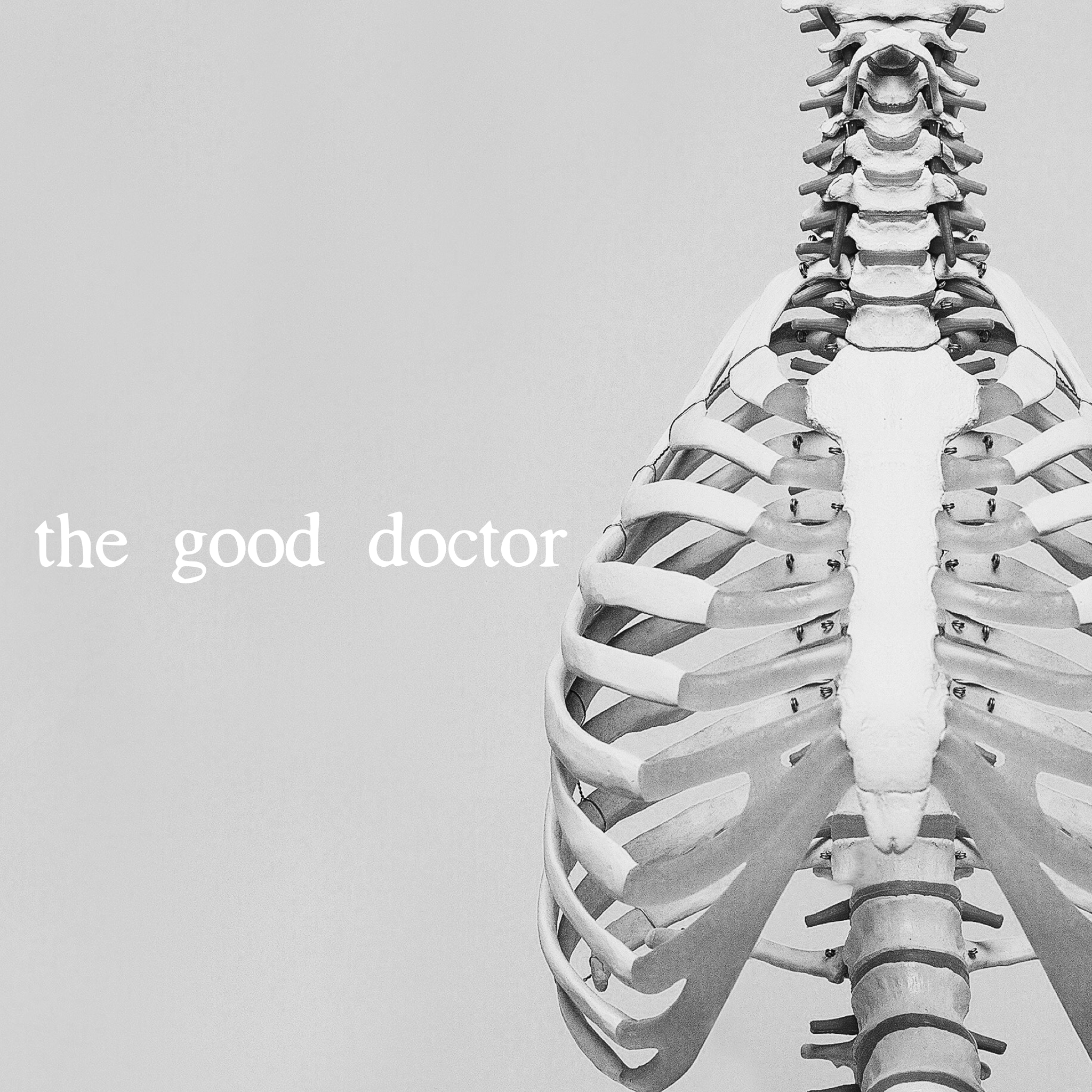 the good doctor
