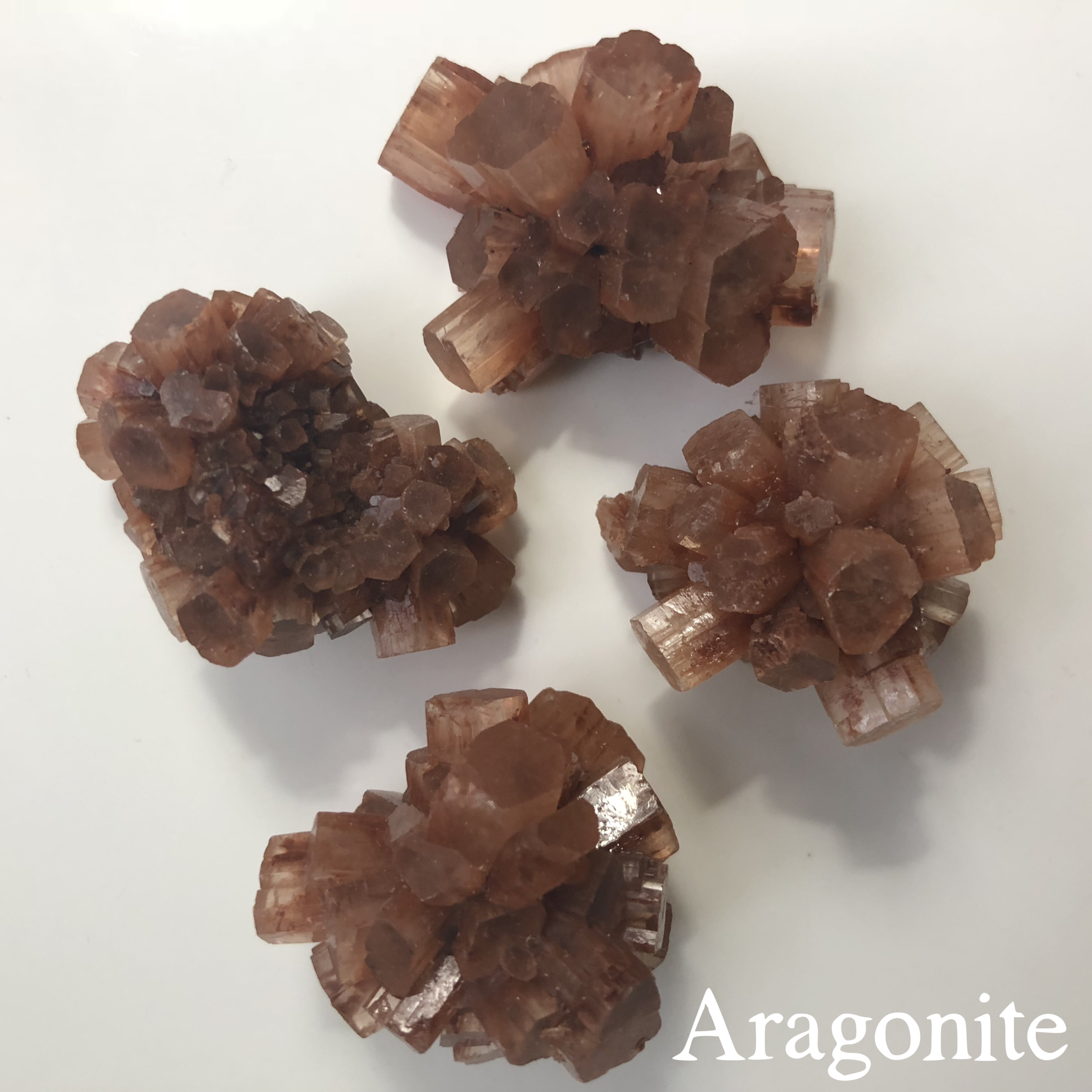   Aragonite(4/$10.00 deal):  A voice in my head whispered—“check out the aragonite.”&nbsp; I looked it up, and lo’ and behold, an article from Energy Muse hailed aragonite as the  “...powerhouse mineral; one that gets to the root of the situation.&nb