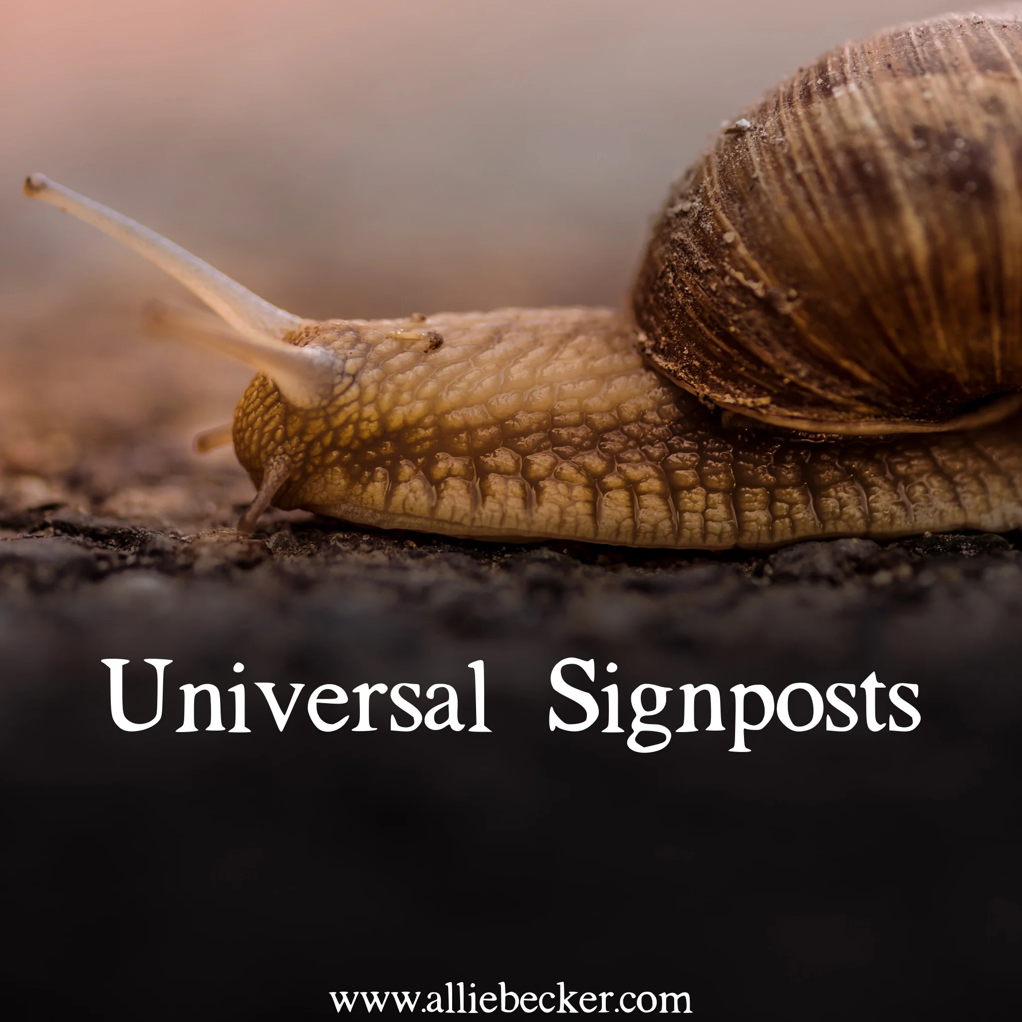 Universal Signposts
