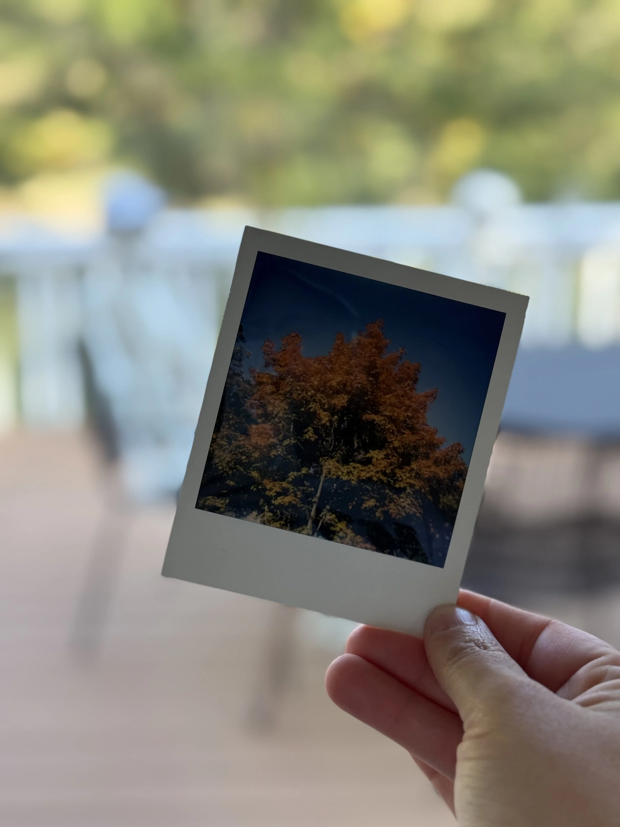 The Alchemy of Autumn