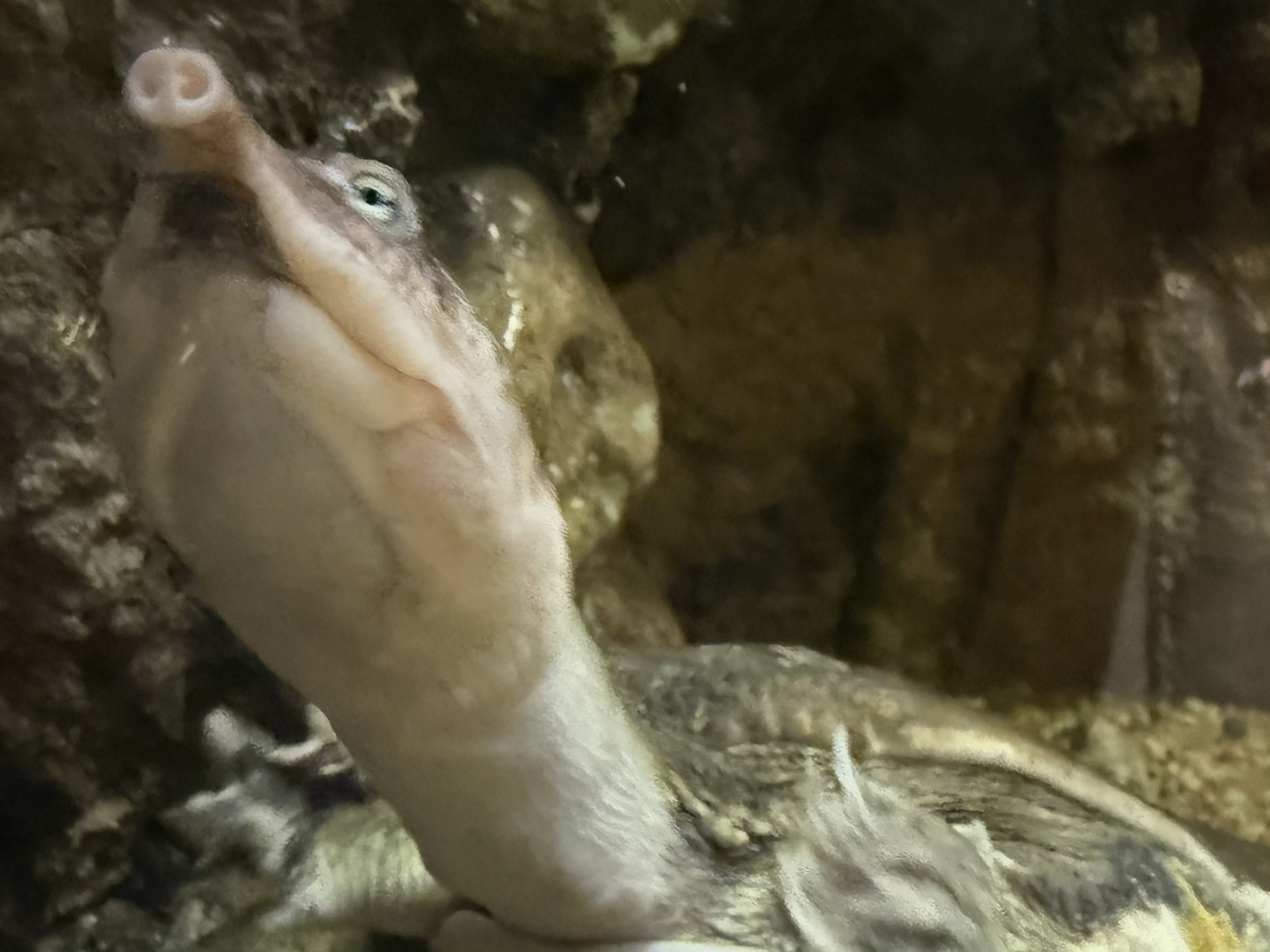 Today I went to the Field Museum