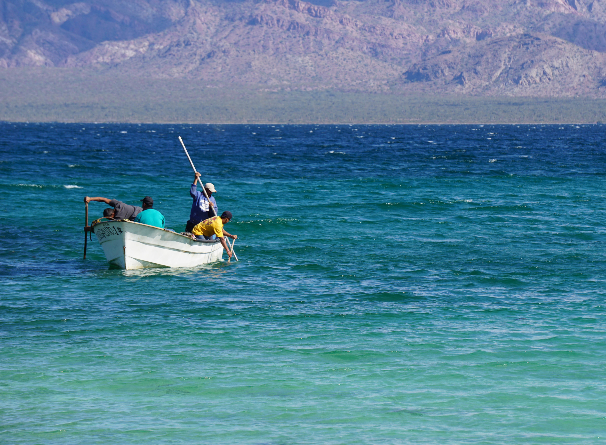 fisherman 4 concepcion edit.jpg