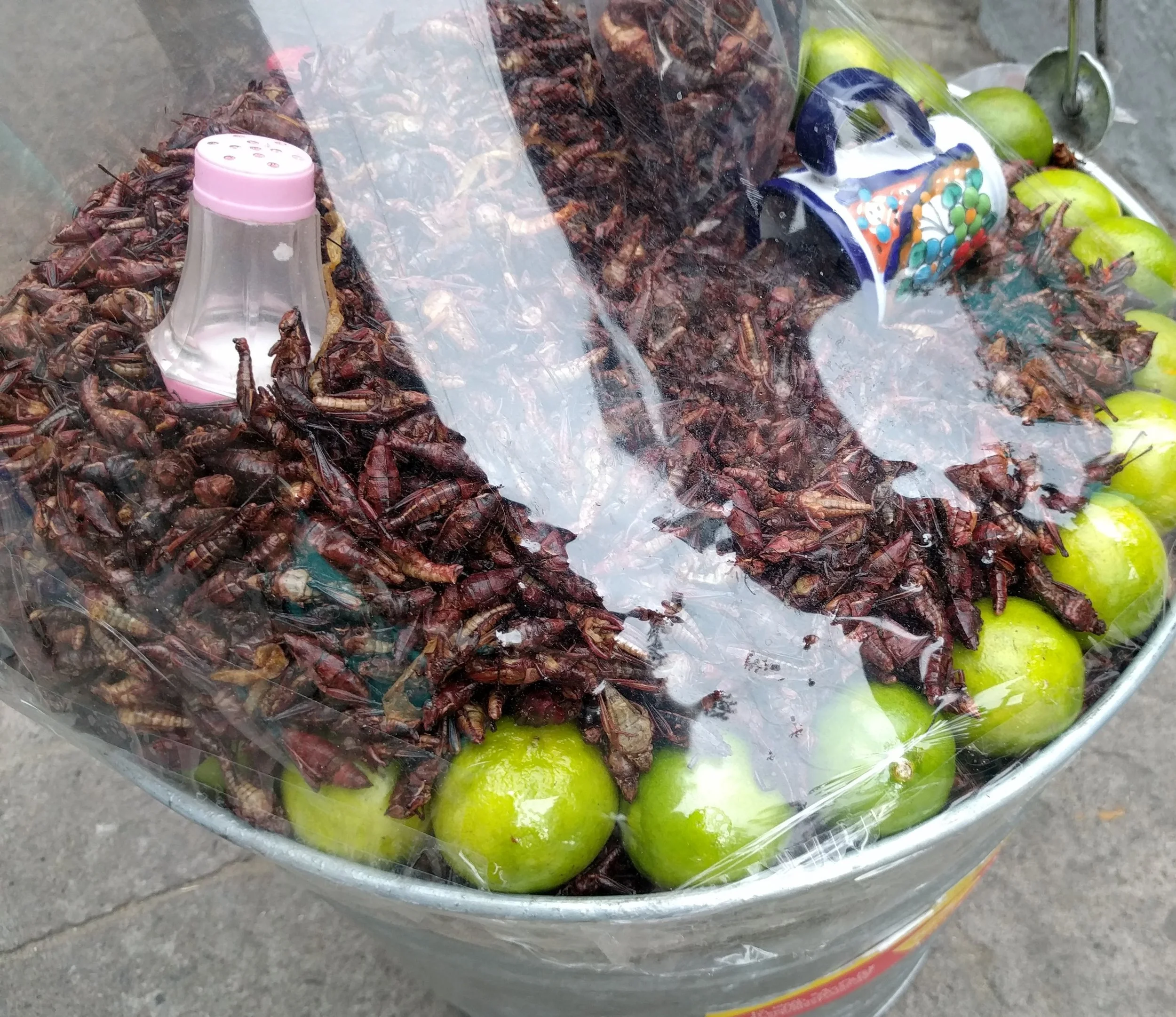 Chapulines (Crickets), Zapopan, Mexico