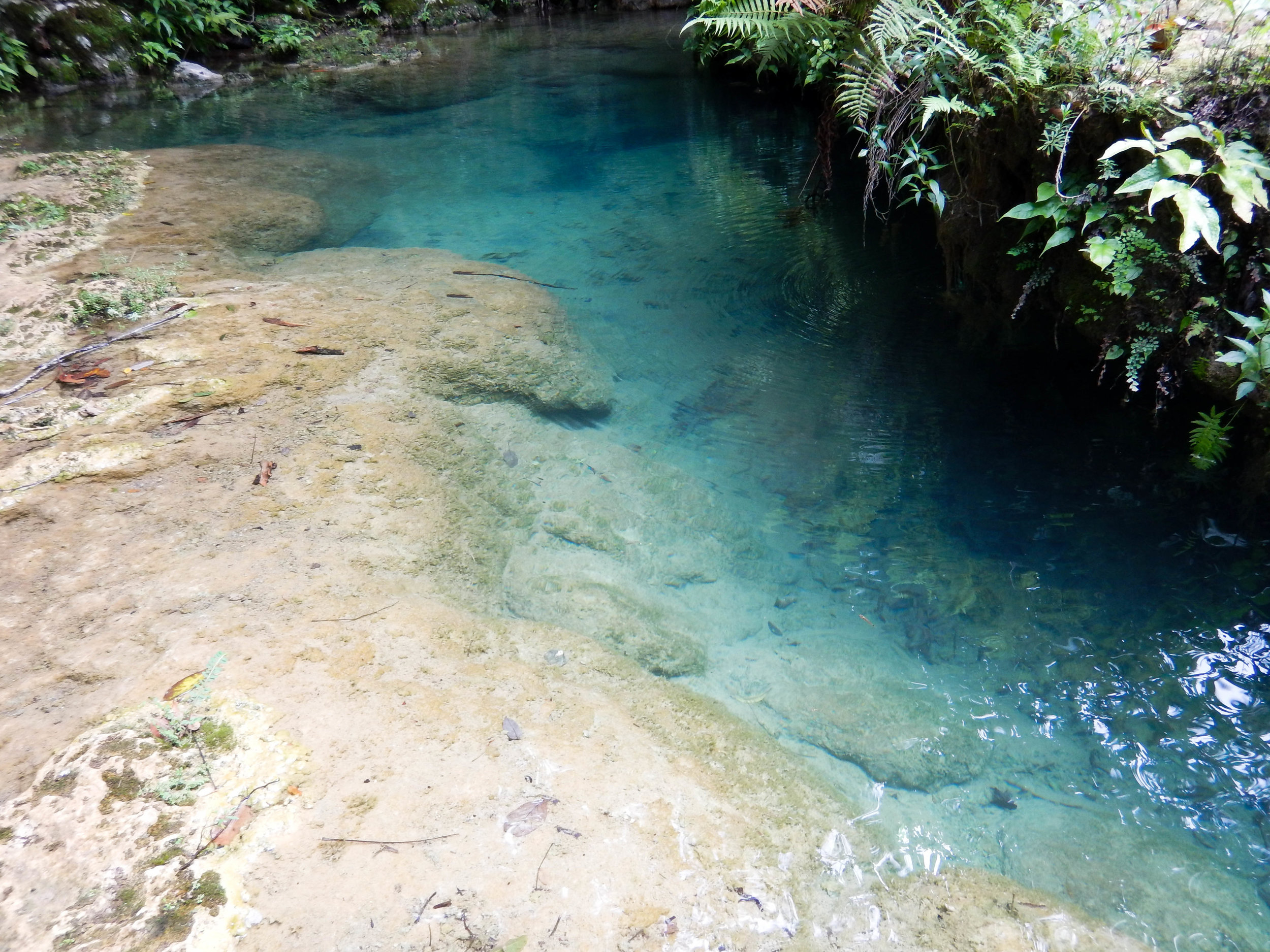 small river in pools.jpg