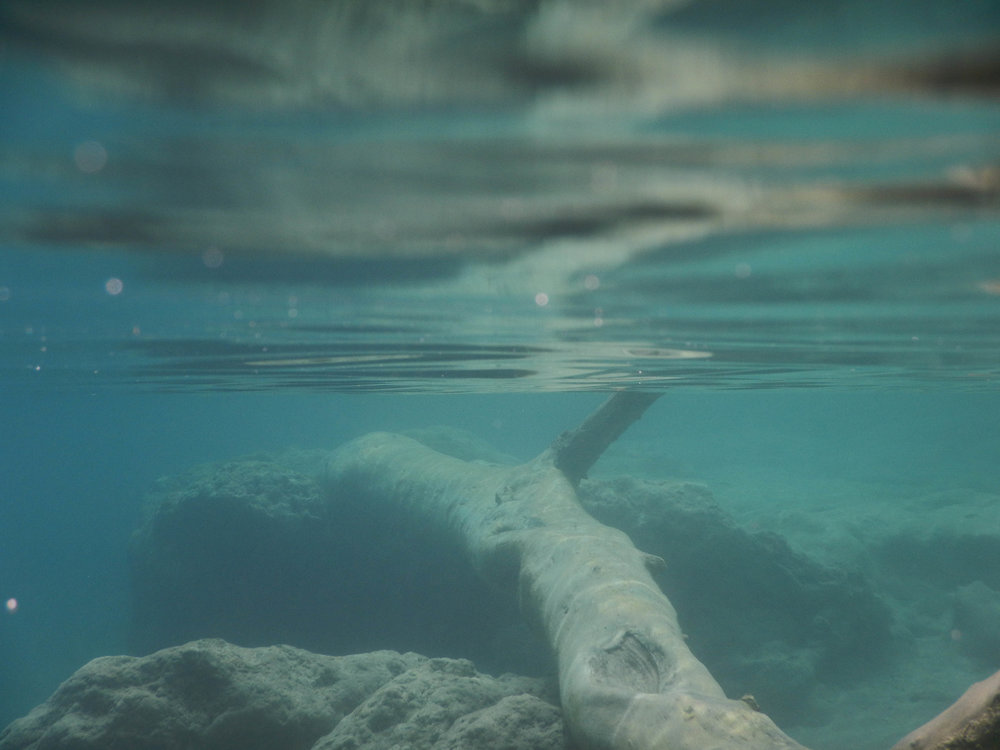 underwater w log.jpg