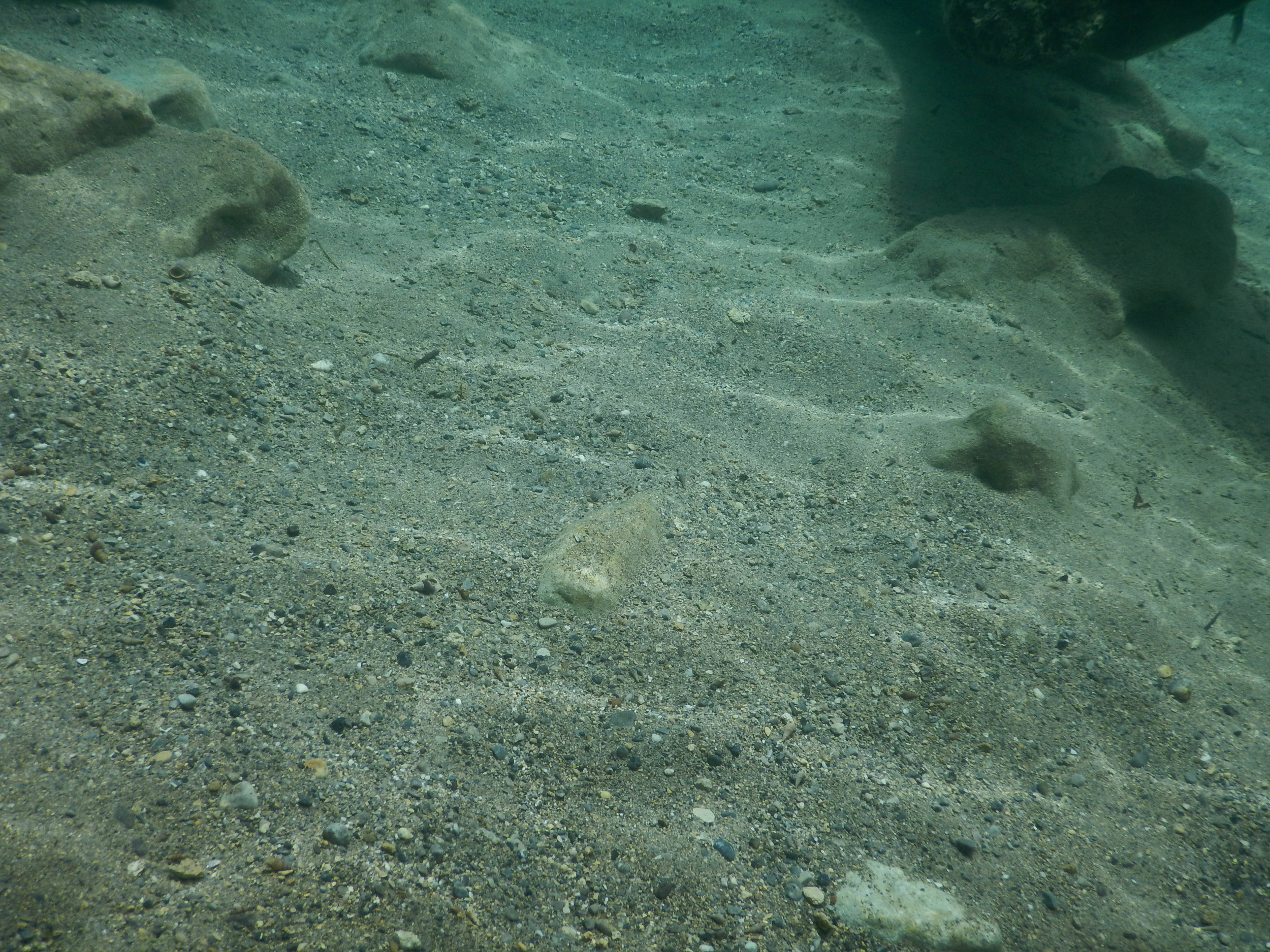 underwater w sand.jpg