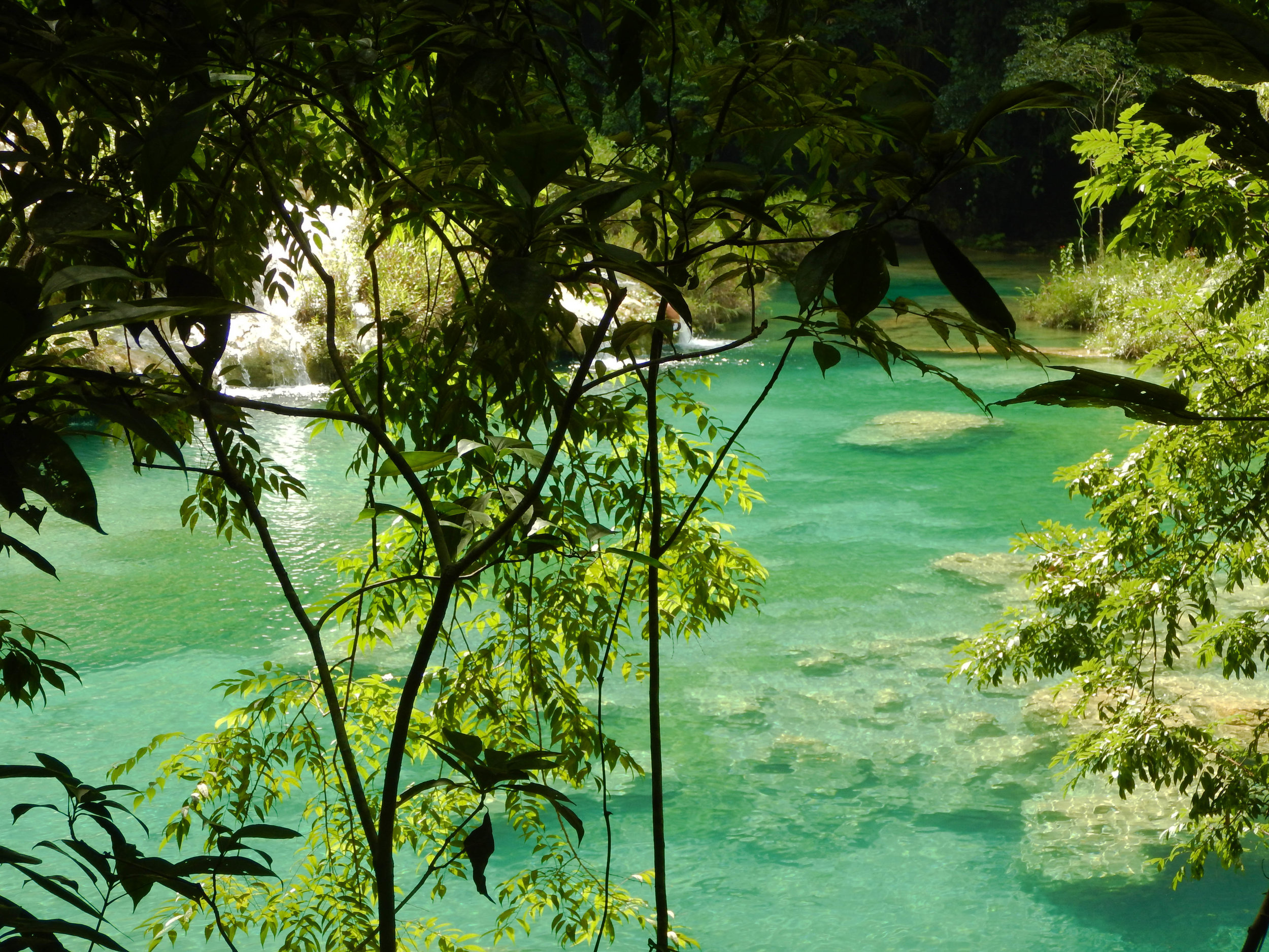 jungly view of falls and pool.jpg