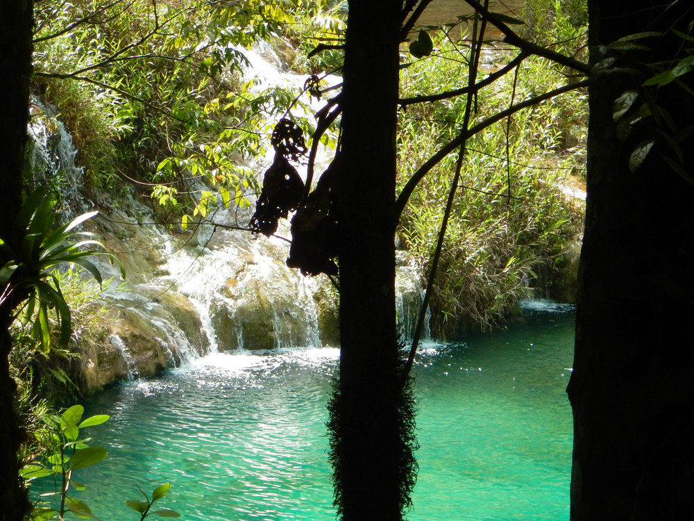 jungly view of medium waterfall 2.jpg