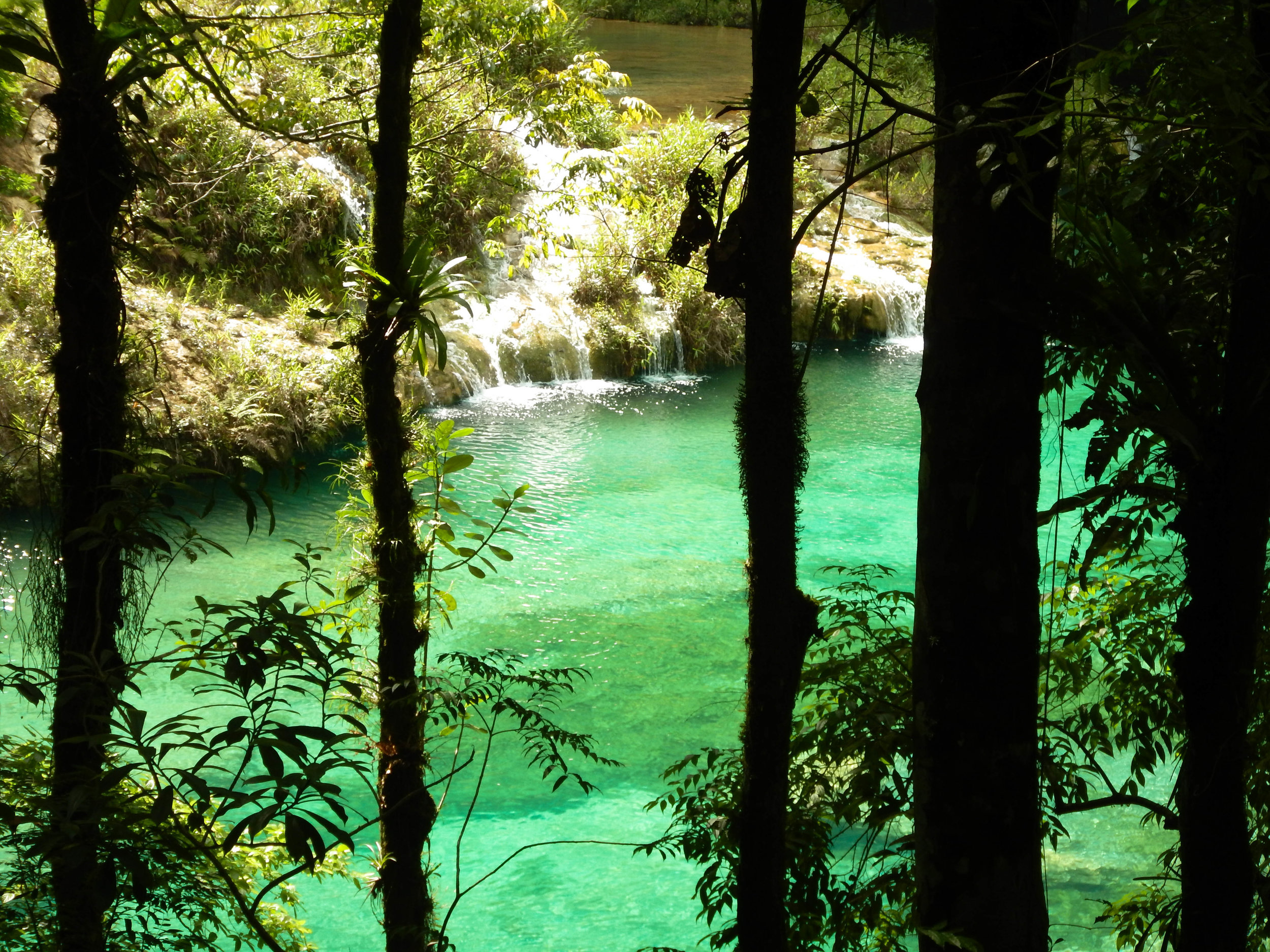 jungly view of small waterfall 2.jpg