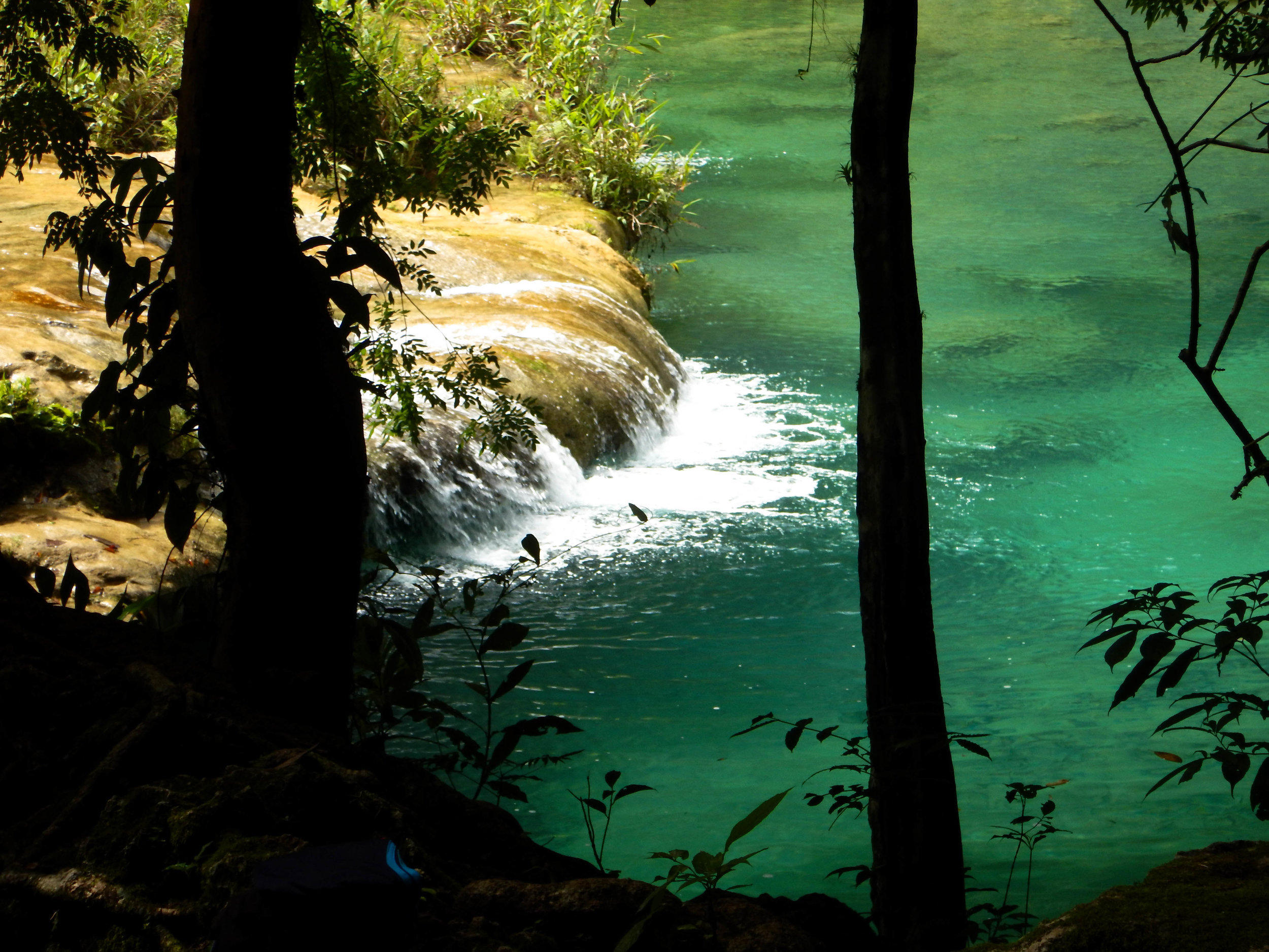 jungly view of tiny waterfall.jpg