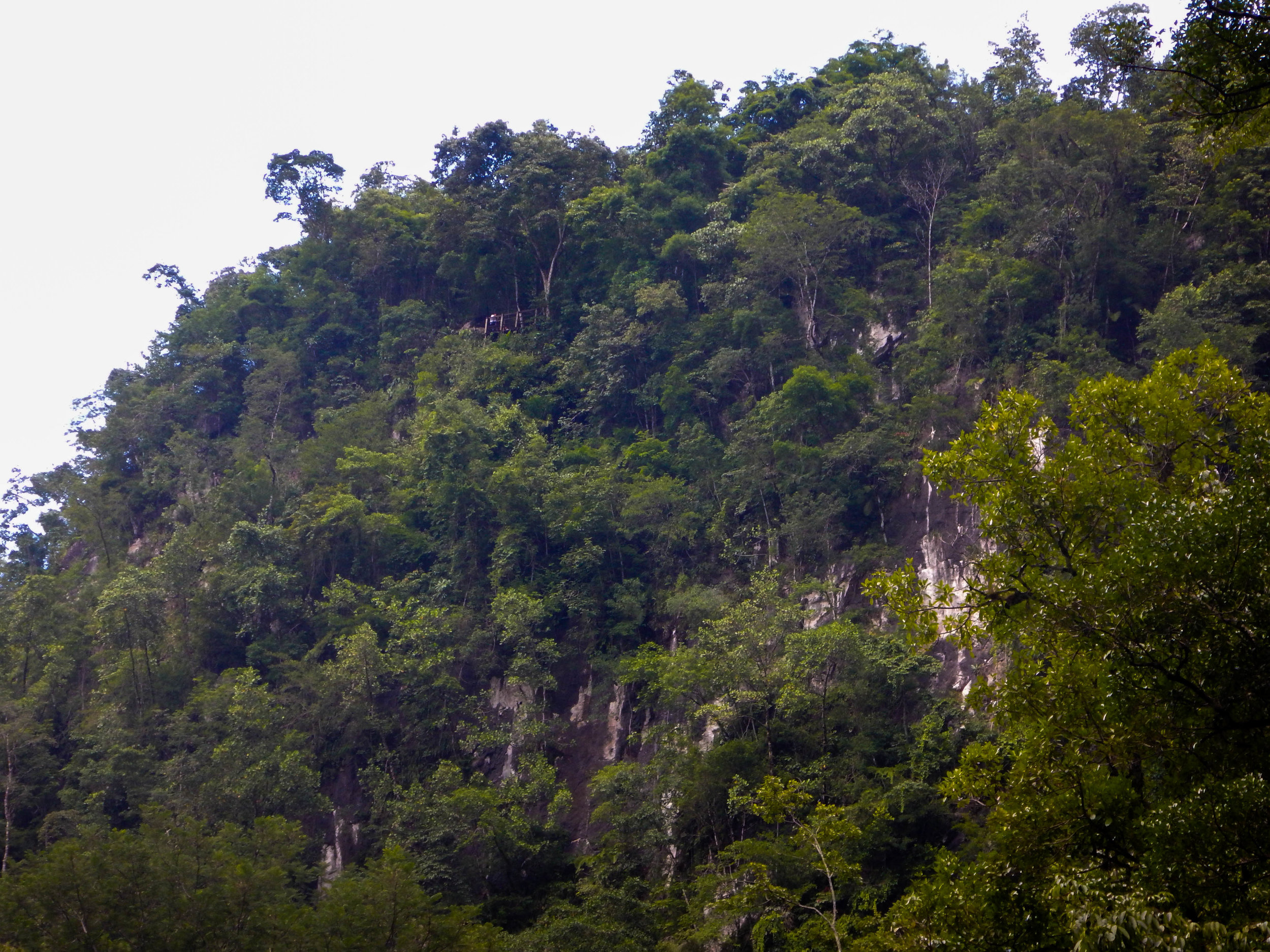 semuc lookout.jpg