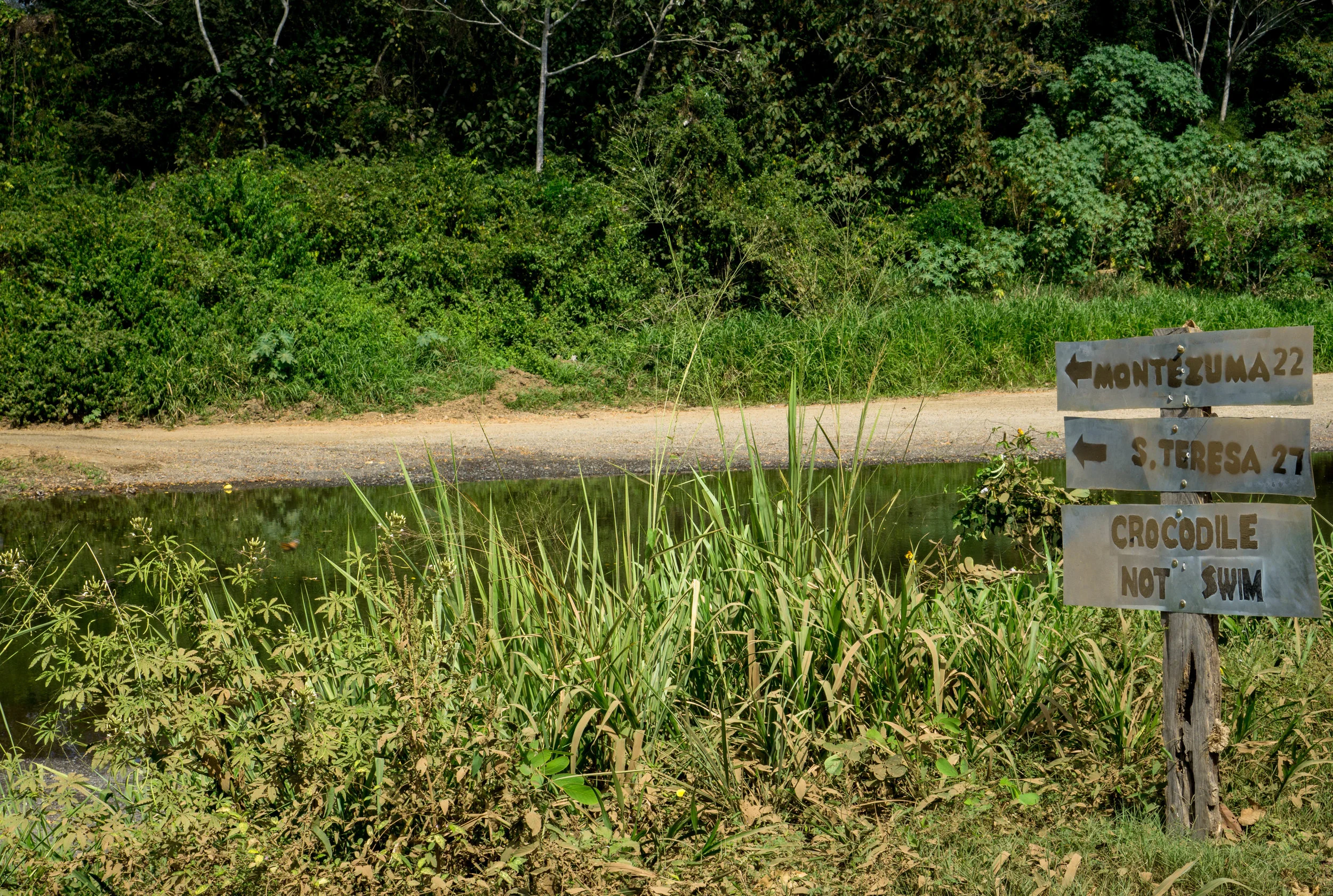 crocodile not swim sign.jpg