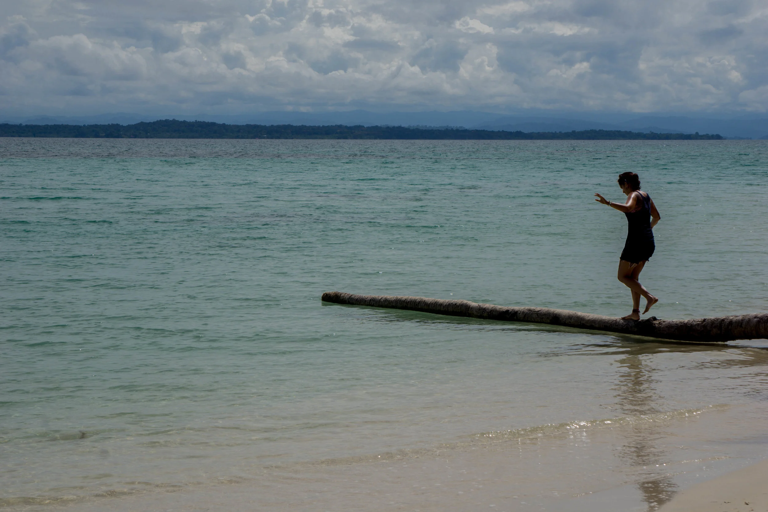 sunny balancing on palm tree in water.jpg
