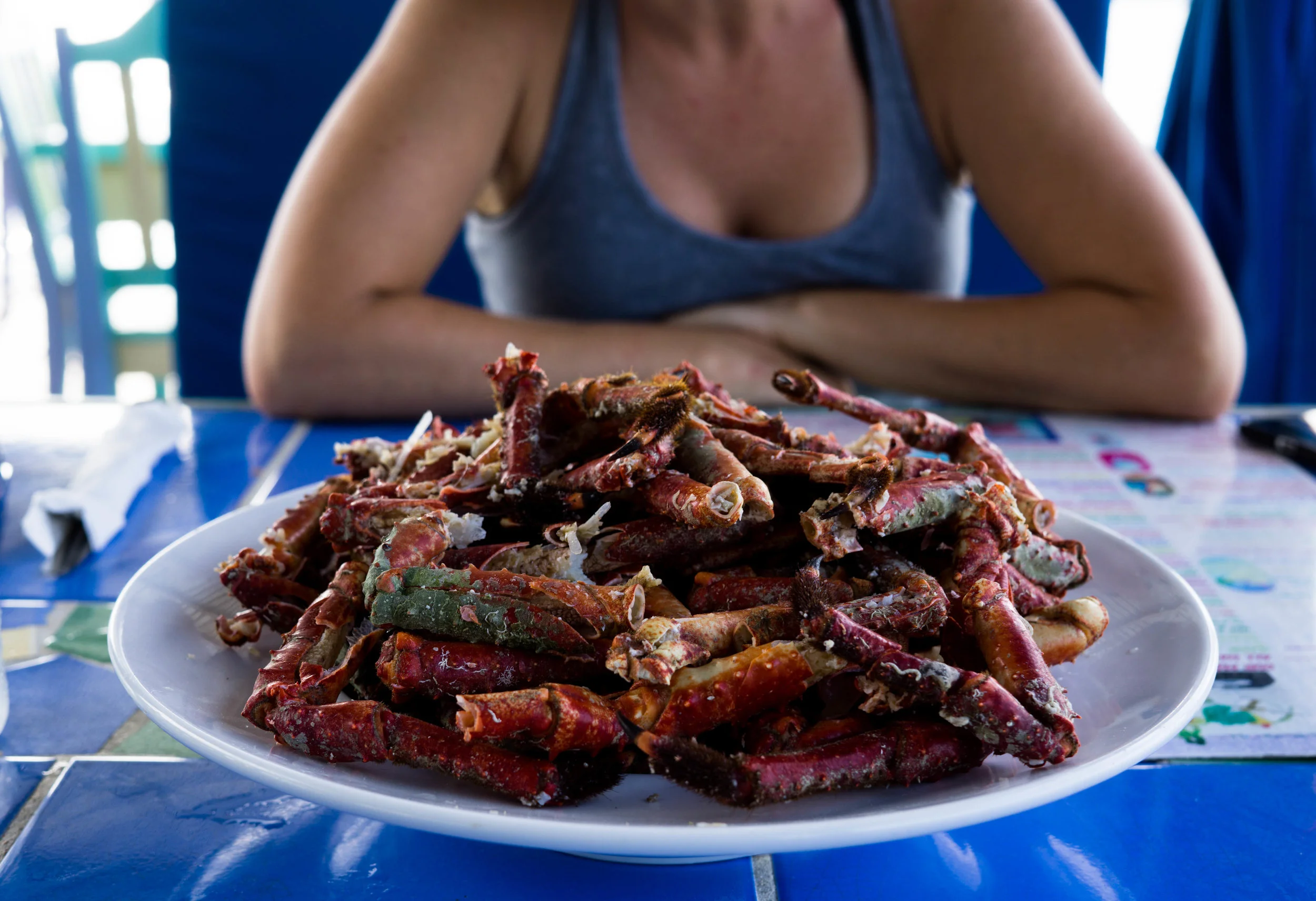 carribean crab.jpg