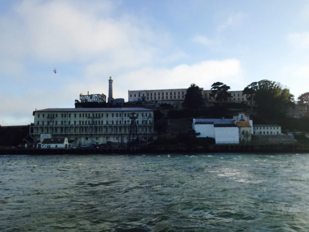 IMG_4337_1024.jpg