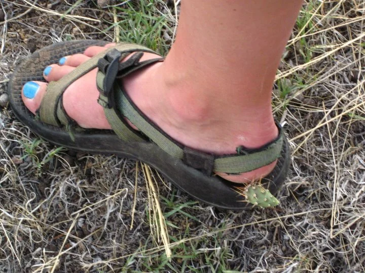 Naughty girl. No hiking in sandals!